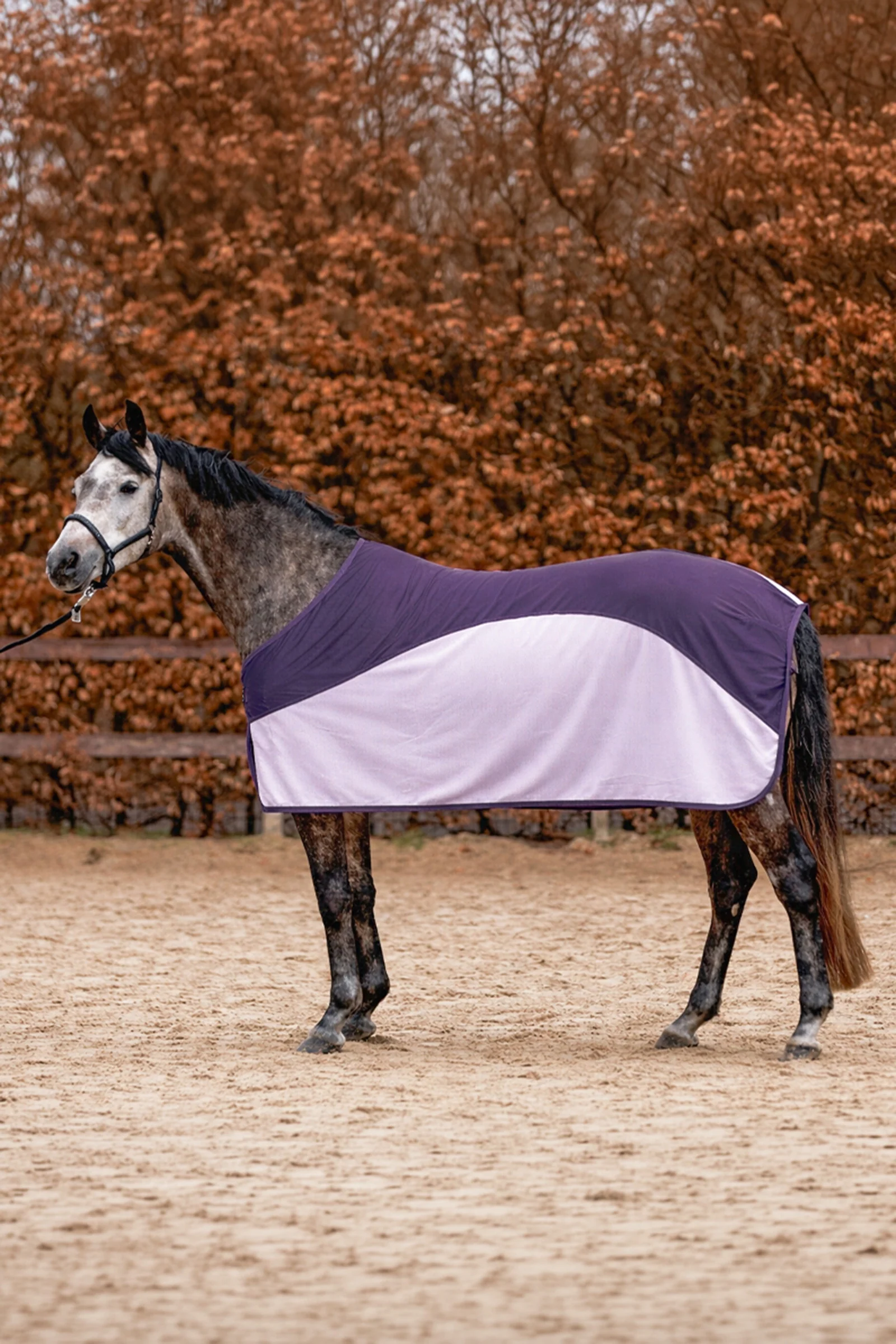 Aeris derka przeciw owadom Purple/Lilac 155