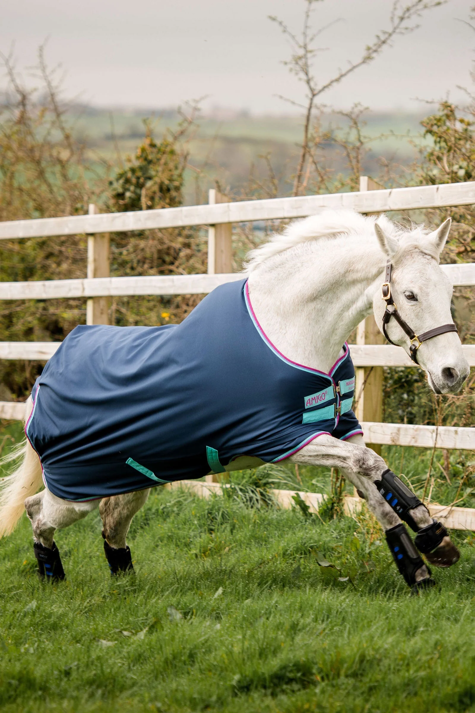 Derka padokowa dla kuca Amigo Hero 900 Pony, 200 g Navy/ Capri Blue/ Raspberry 100