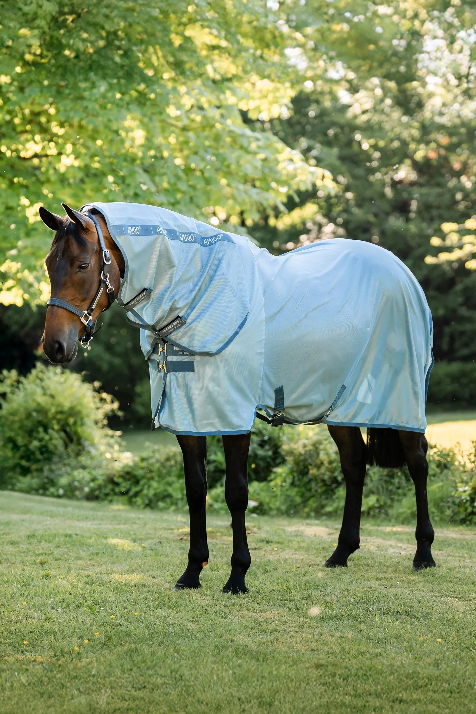 Amigo Zintegrowana Derka Przeciw Owadom Heather Blue/Blue & Silver 130