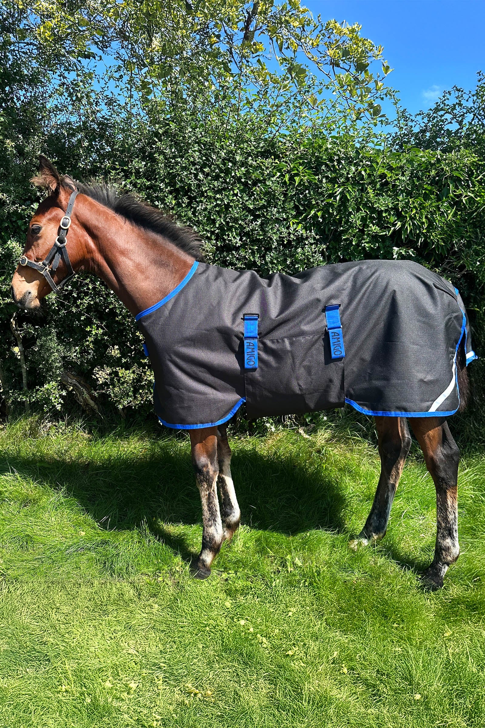 Amigo Ripstop 900D derka padokowa dla źrebiąt 50g Black/Classic Blue 100