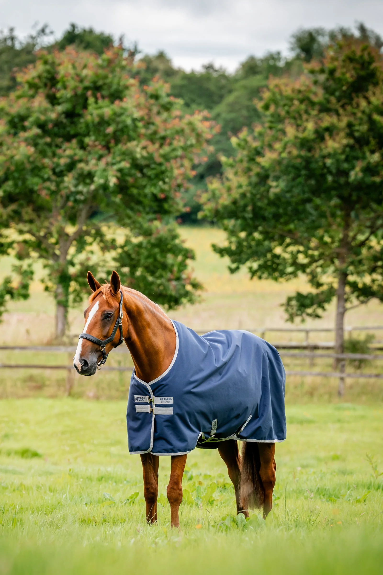 Amigo Ripstop Derka padokowa 900D, 0g Witney Navy 115