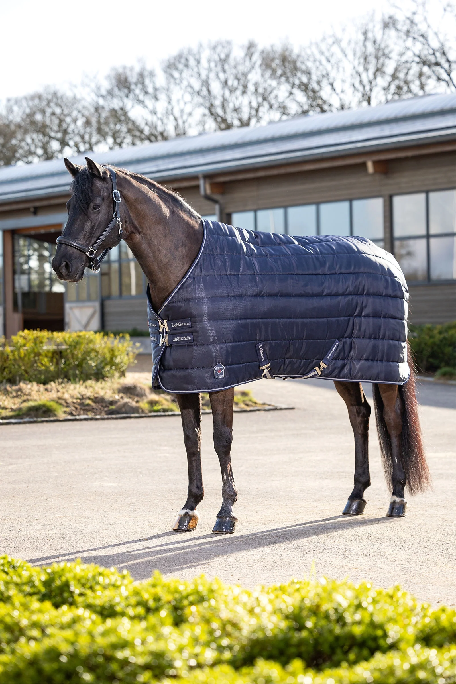 Arika Stable-Tek derka stajenna, 100 g Navy 110