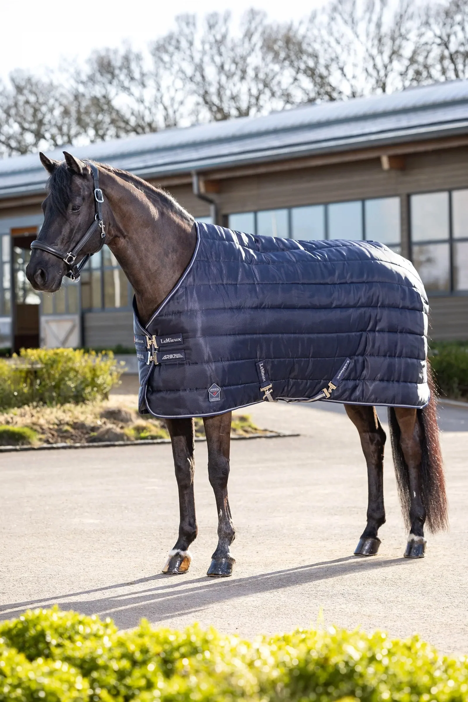 Arika Stable-Tek derka stajenna, 350 g Navy 135