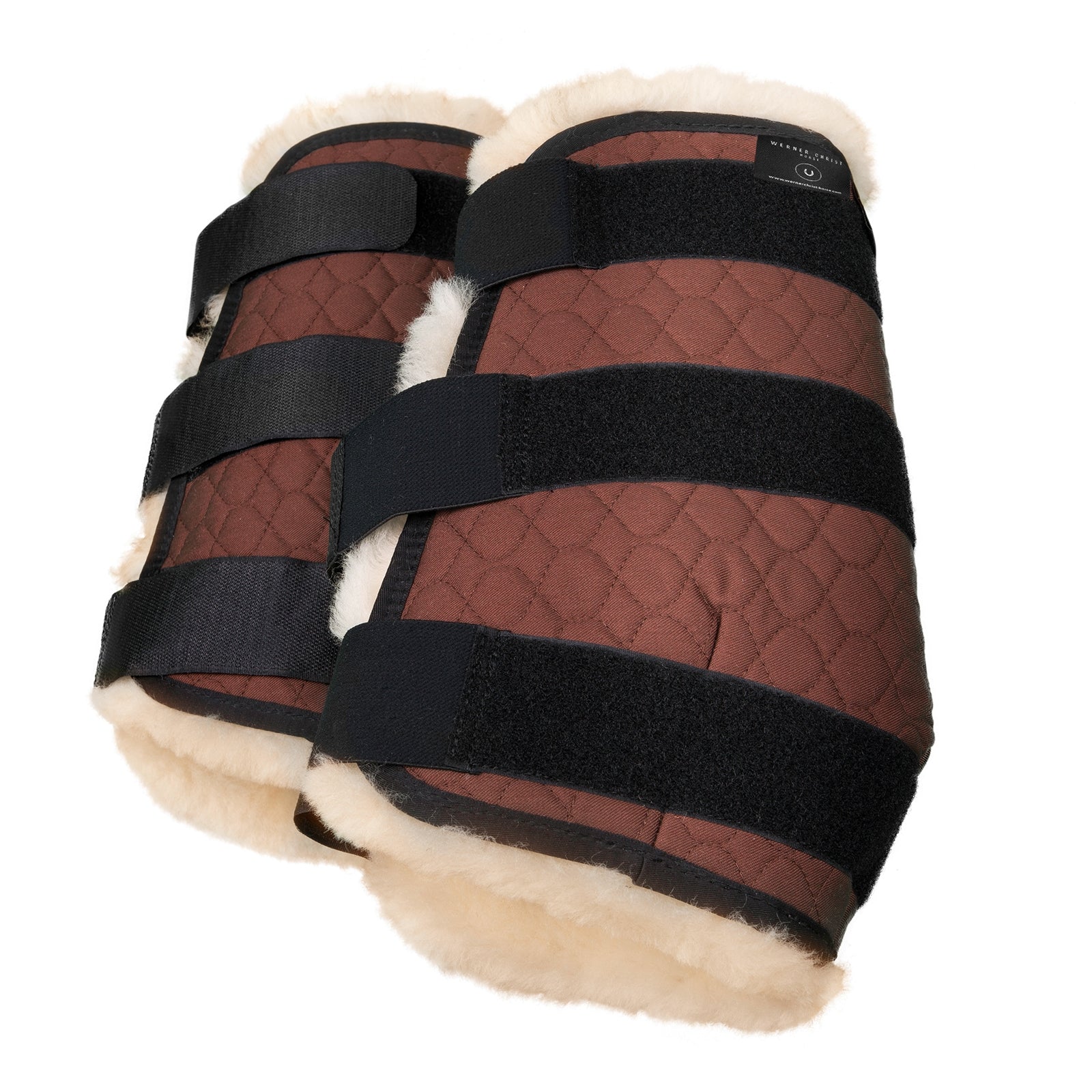 Buty Chrystusa, przednie nogi F