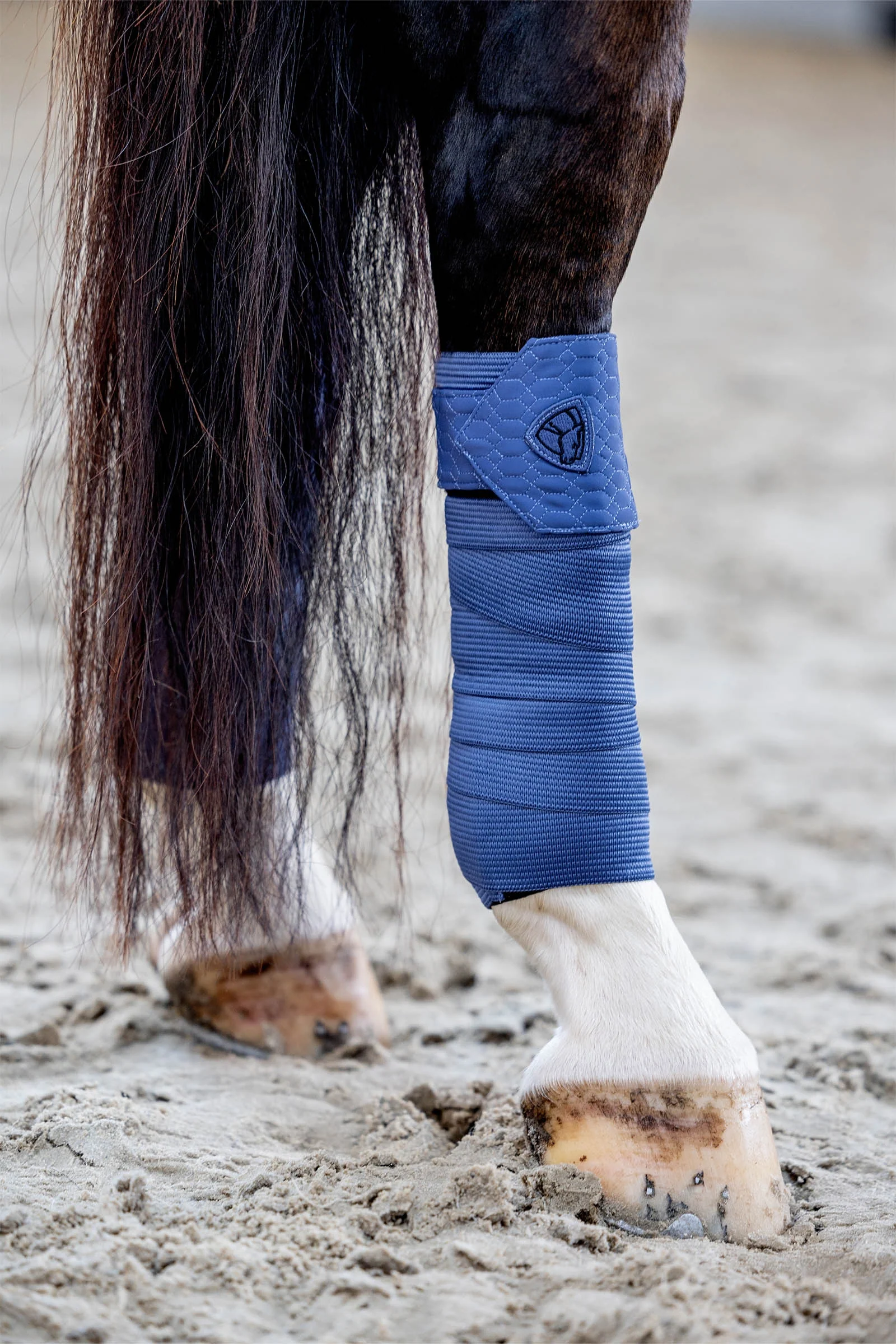 CATAGO FIR-Tech Grand Bandages Crown Blue Rozmiar uniwersalny