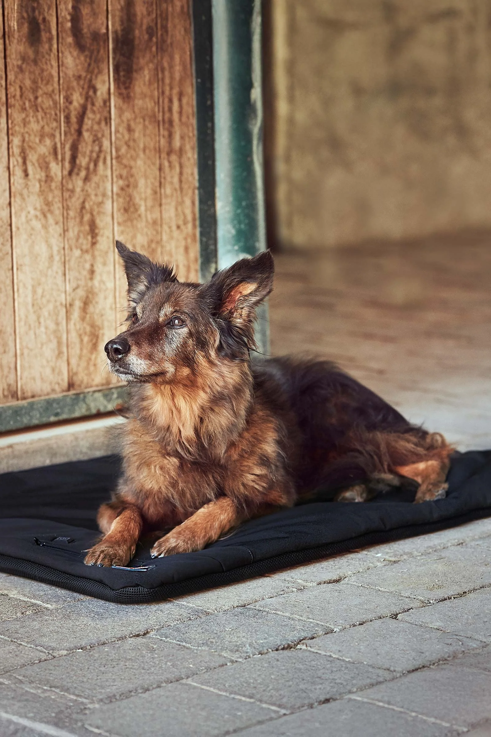CATAGO FIR-Tech Pro Heatable Dog Pillow Black Rozmiar uniwersalny
