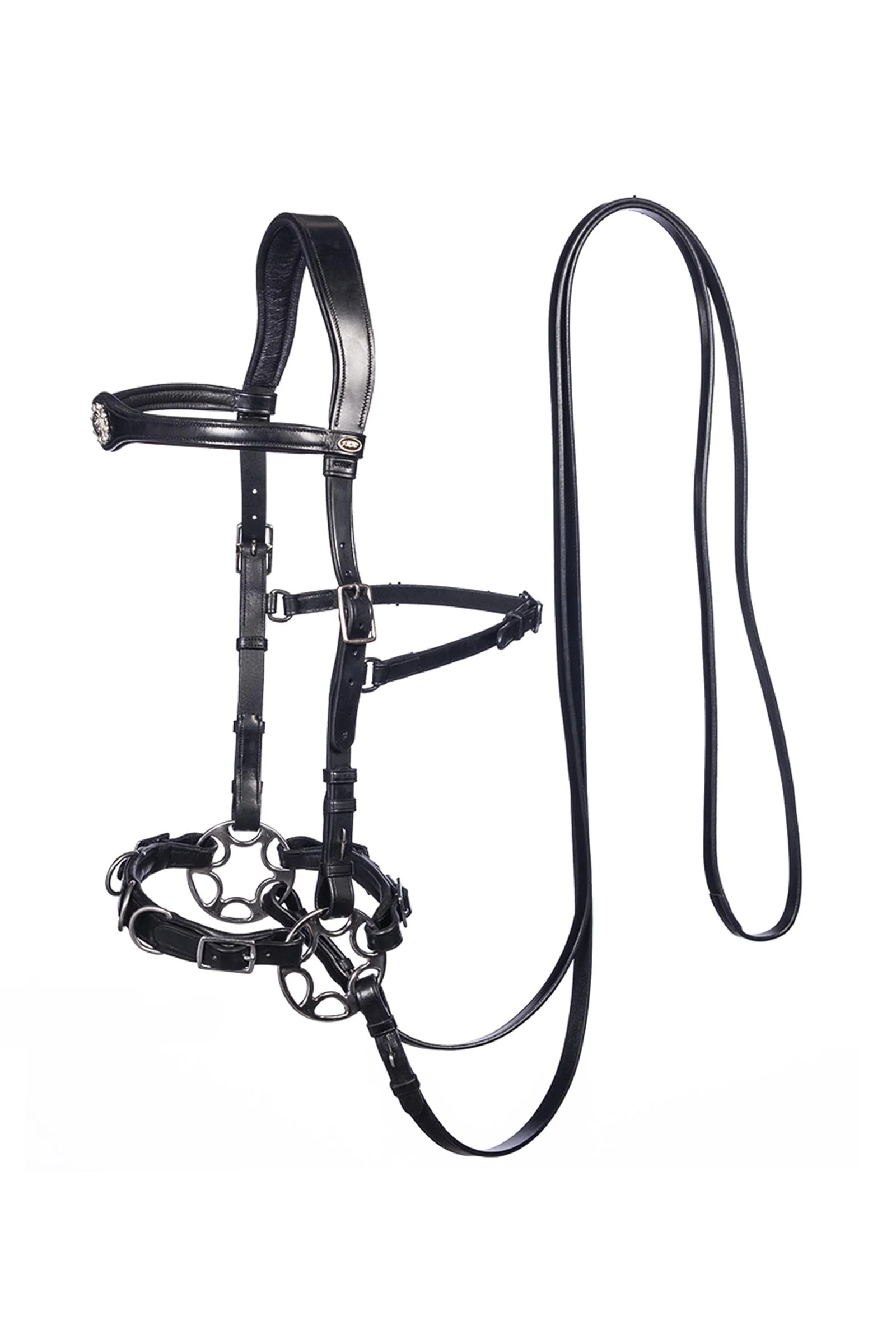 Caval, kompletne ogłowie Cavemore, skóra angielska (Syst.2), Shire Black X-Full