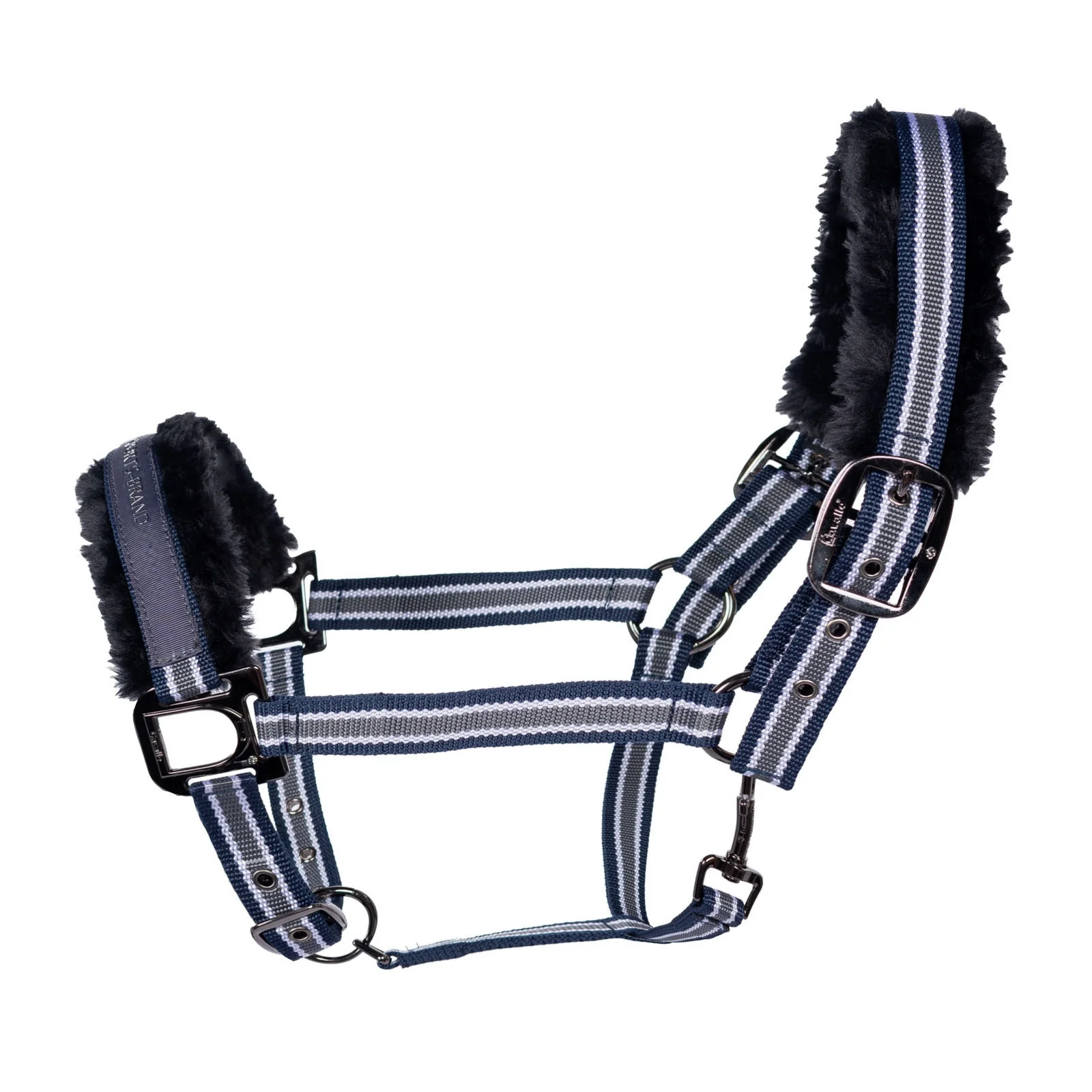 CAVALHELIA Halter P