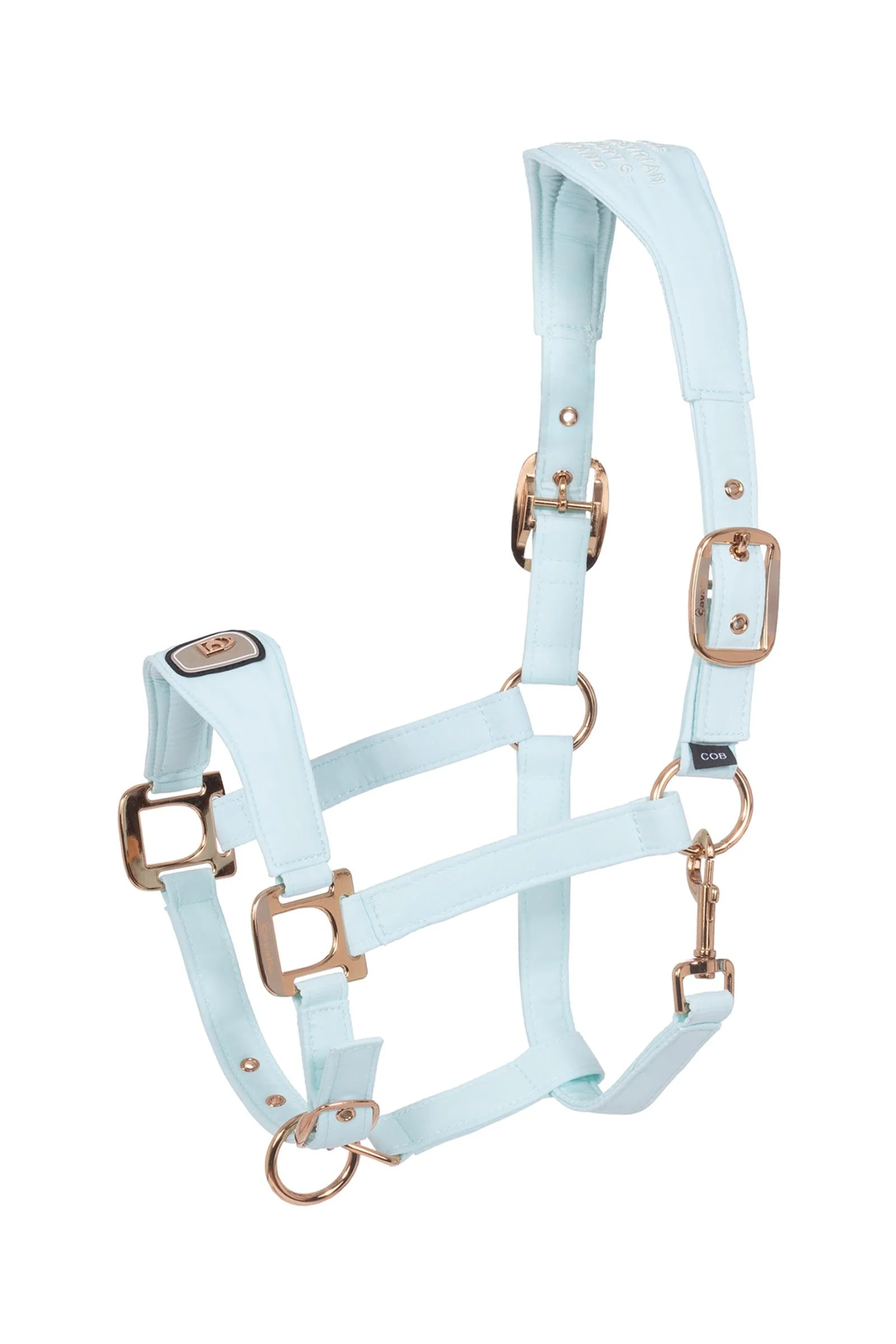 CAVALPAWEL kantar Crystal Blue F
