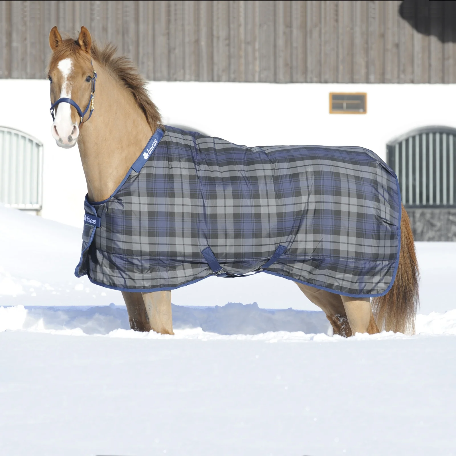 Derka stajenna Celtic Light Navy/Grey 165