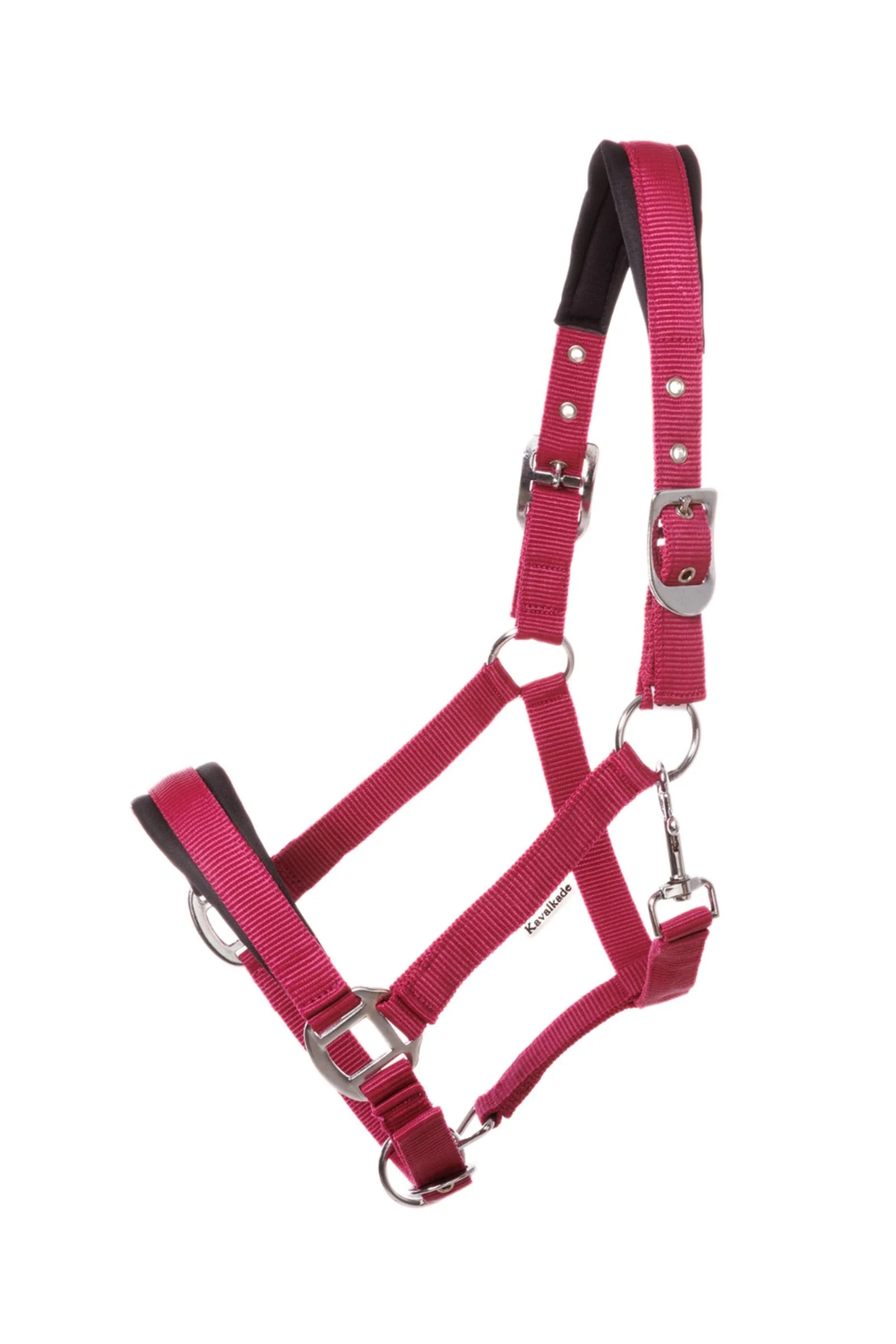 Classic Simple kantar dla koni zimnokrwistych Berry/Berry 0DH