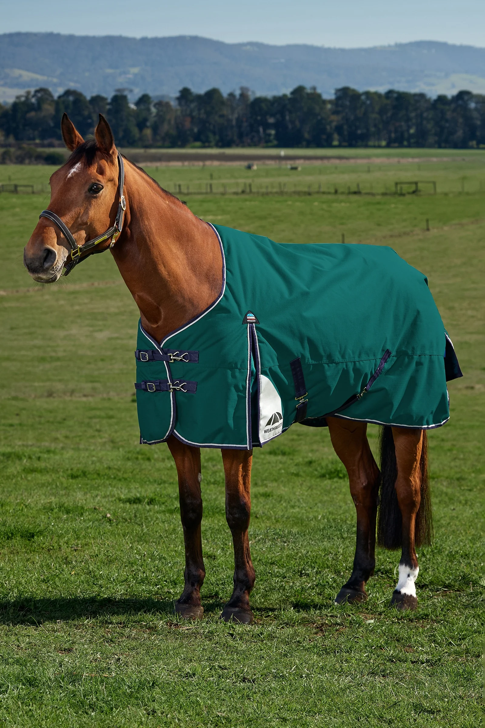 ComFiTecPlus Dynamic Derka zewnętrzna z odpinaną szyją, 100 g Forest Green/Navy 160