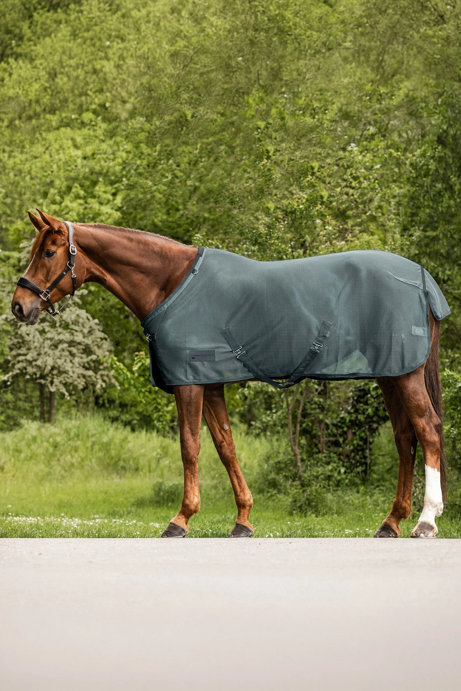 Comfort derka przeciw owadom Pine Green 125