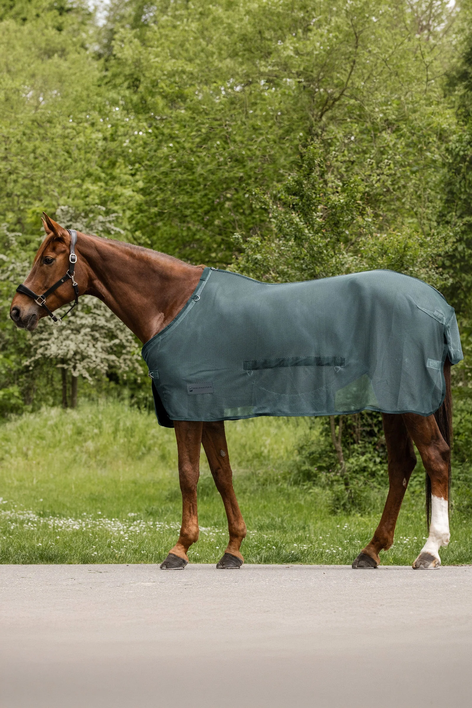 Comfort derka przeciw owadom z klapą brzuszną Pine Green 125