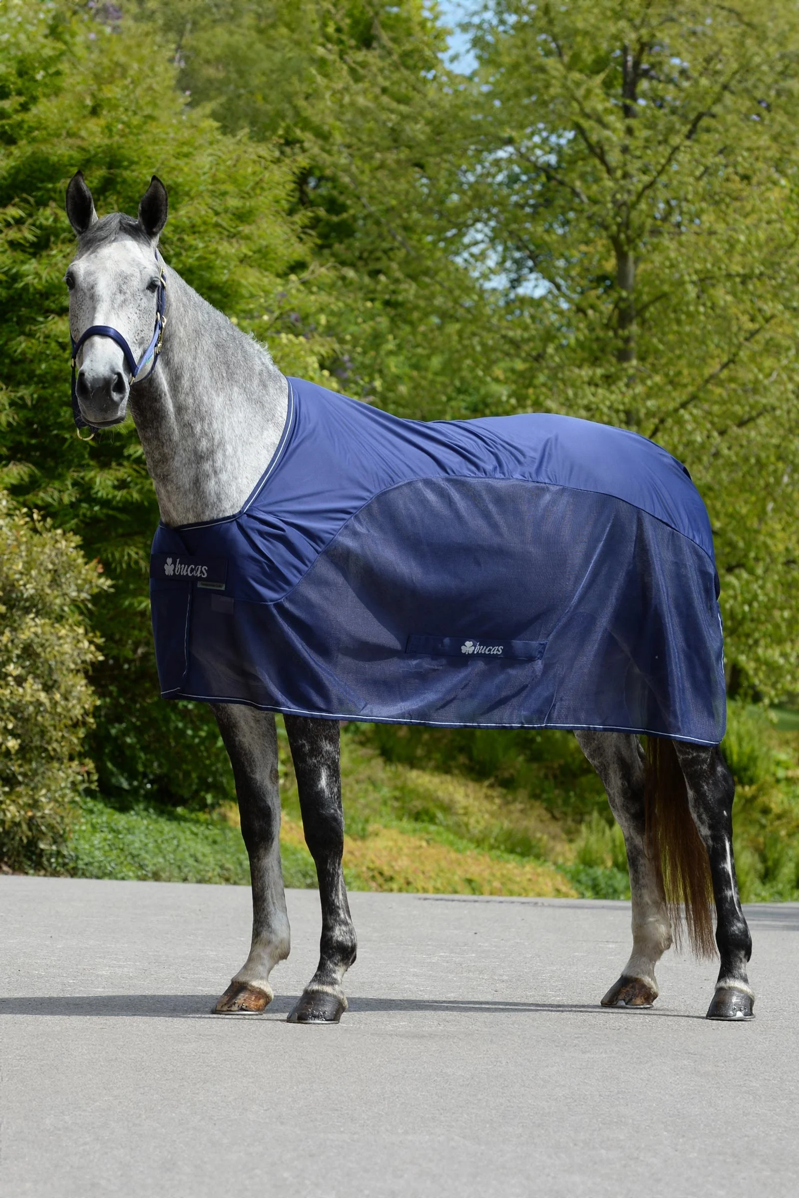 Competition Cooler Dark Blue/Silver 155