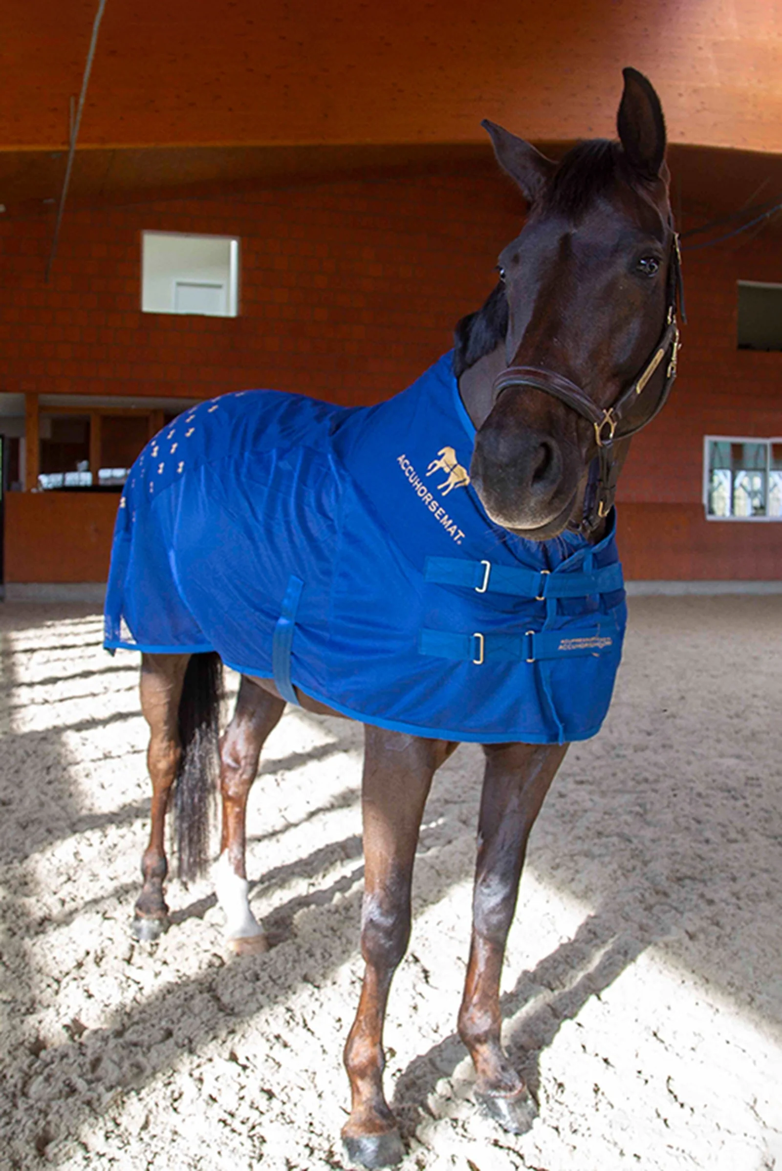 Derka osuszająca Blue L - Image 10