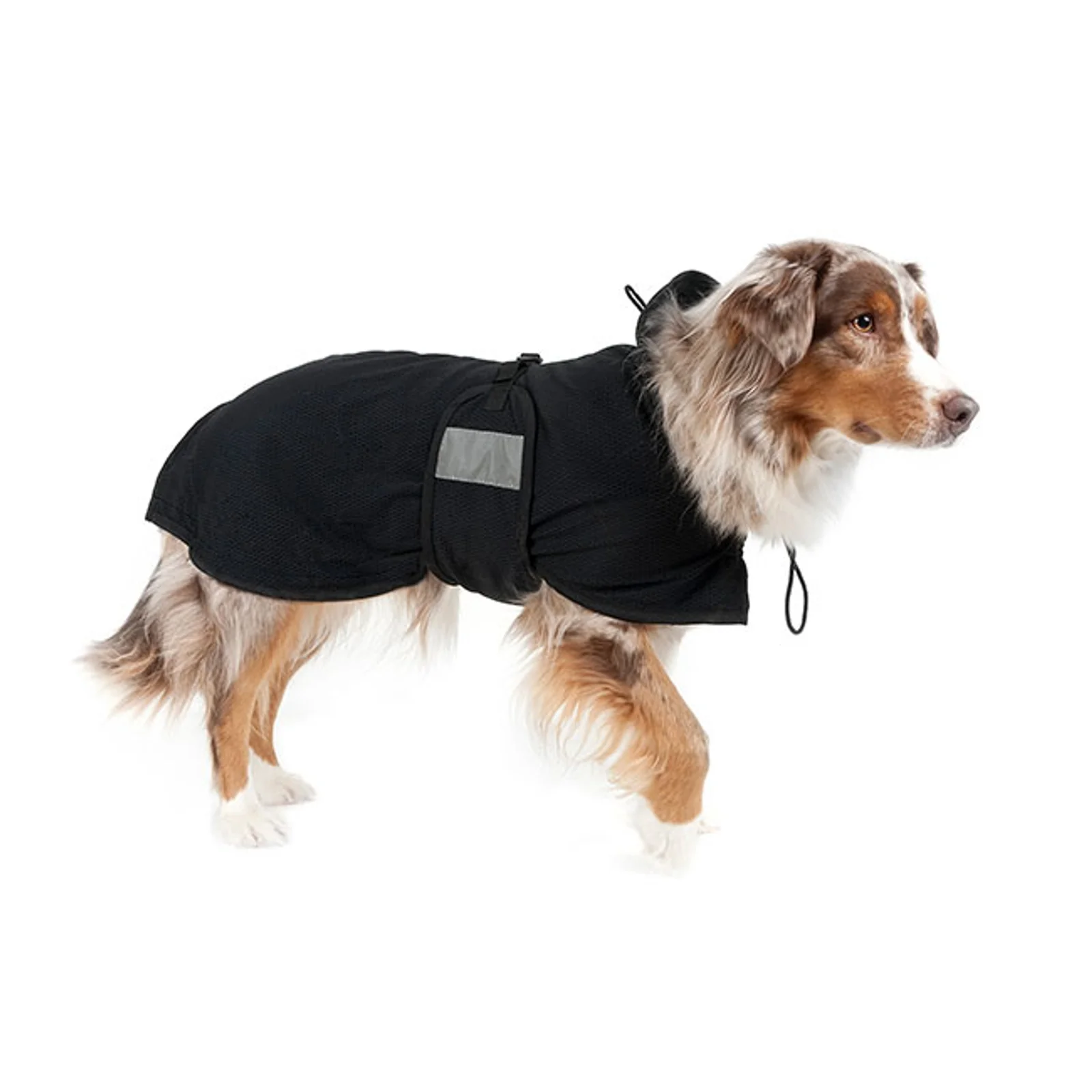 Derka siatkowa Dachshund S
