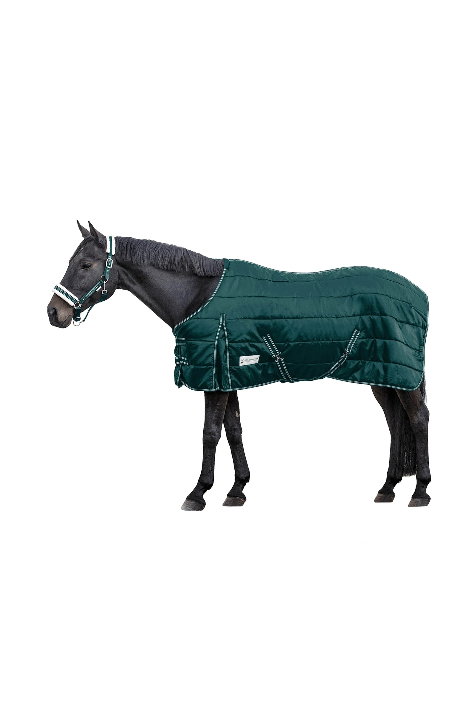 Derka stajenna Economic 200 g Fir Green 125