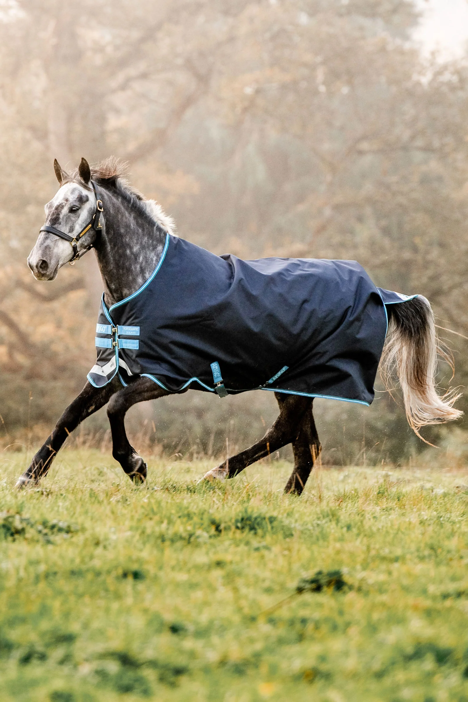 Amigo Bravo 12 derka padokowa, 100g Navy/ Turquoise 115