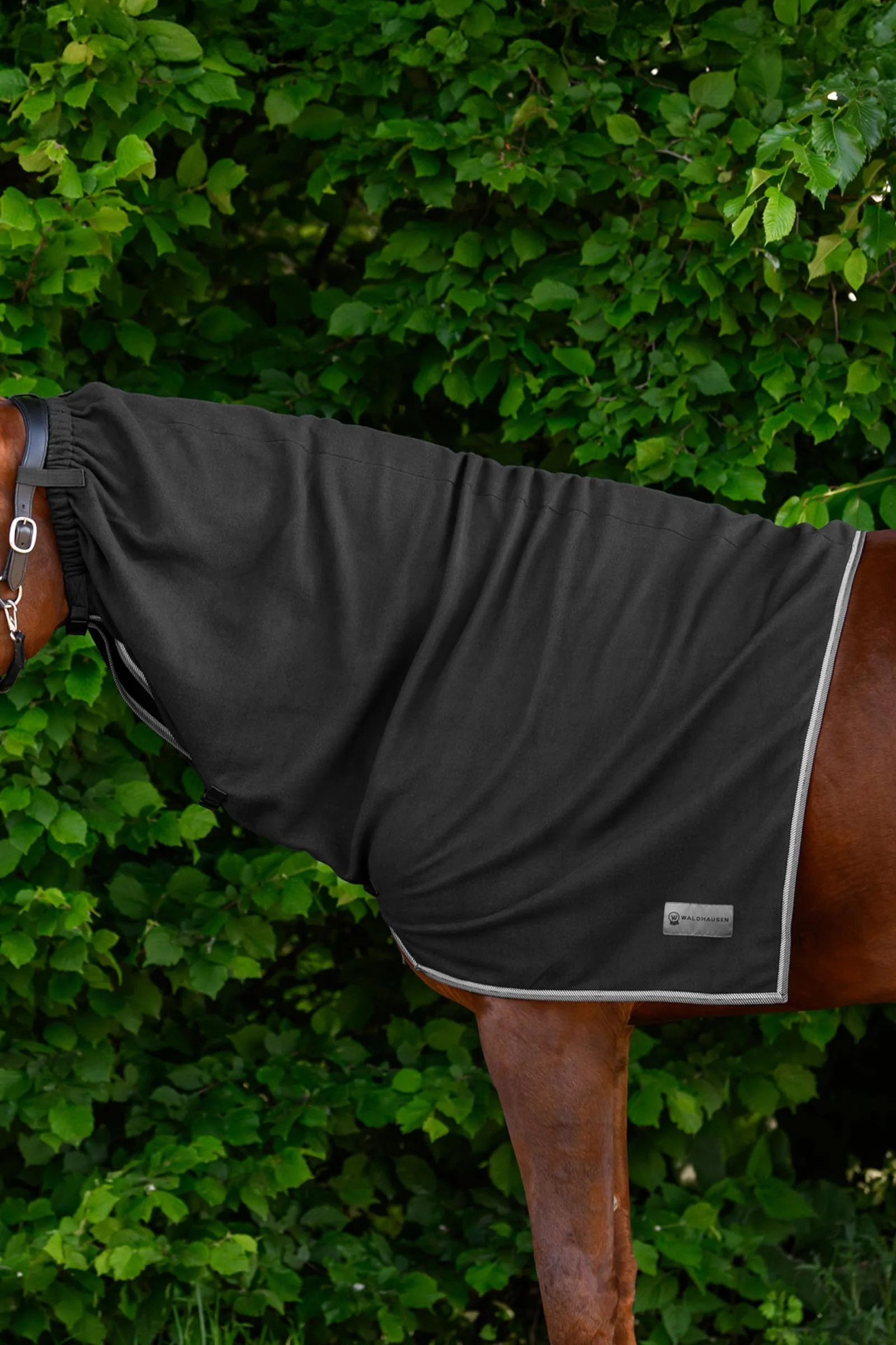 ECONOMIC polarowy kaptur Black C