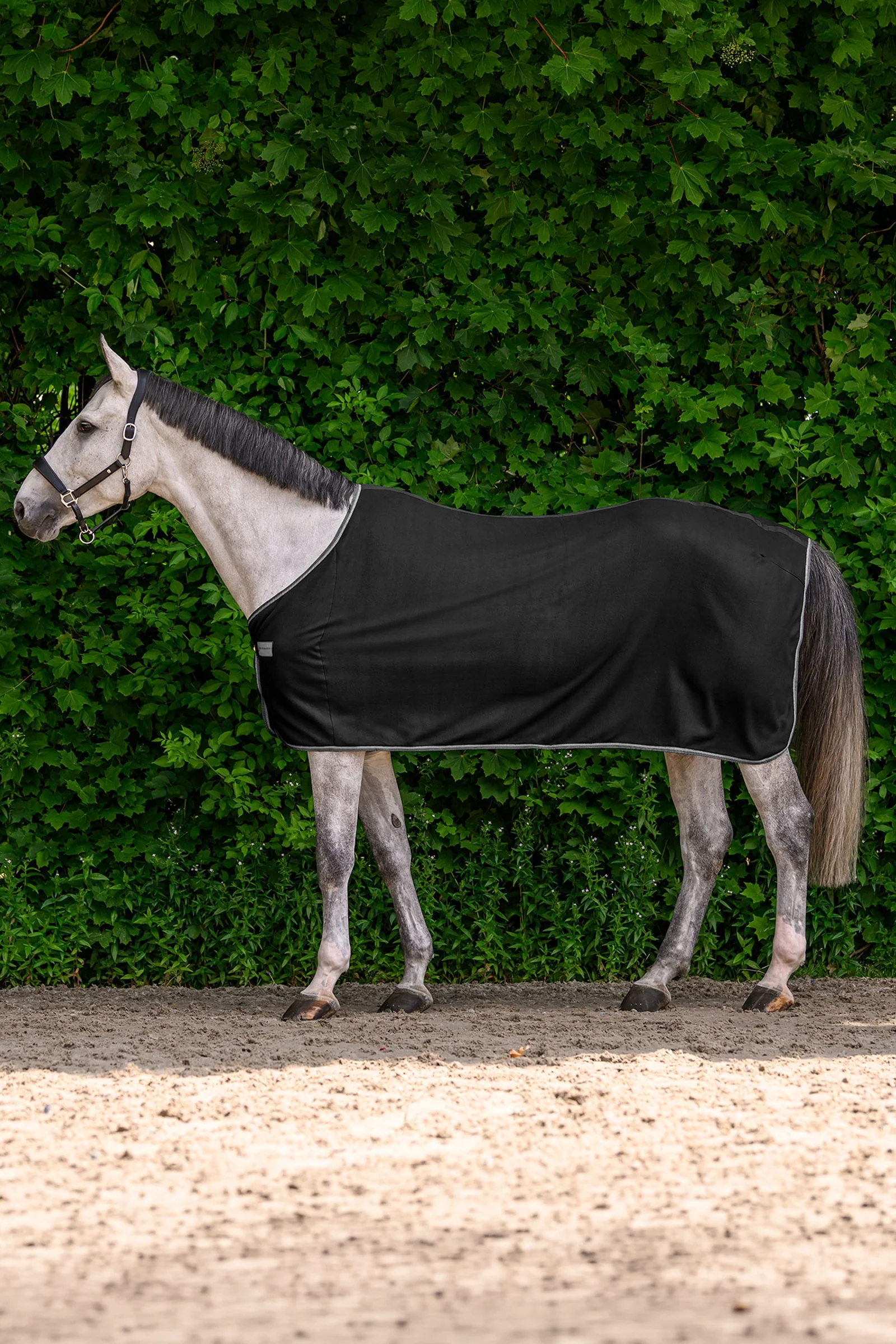 ECONOMIC derka polarowa Black 75