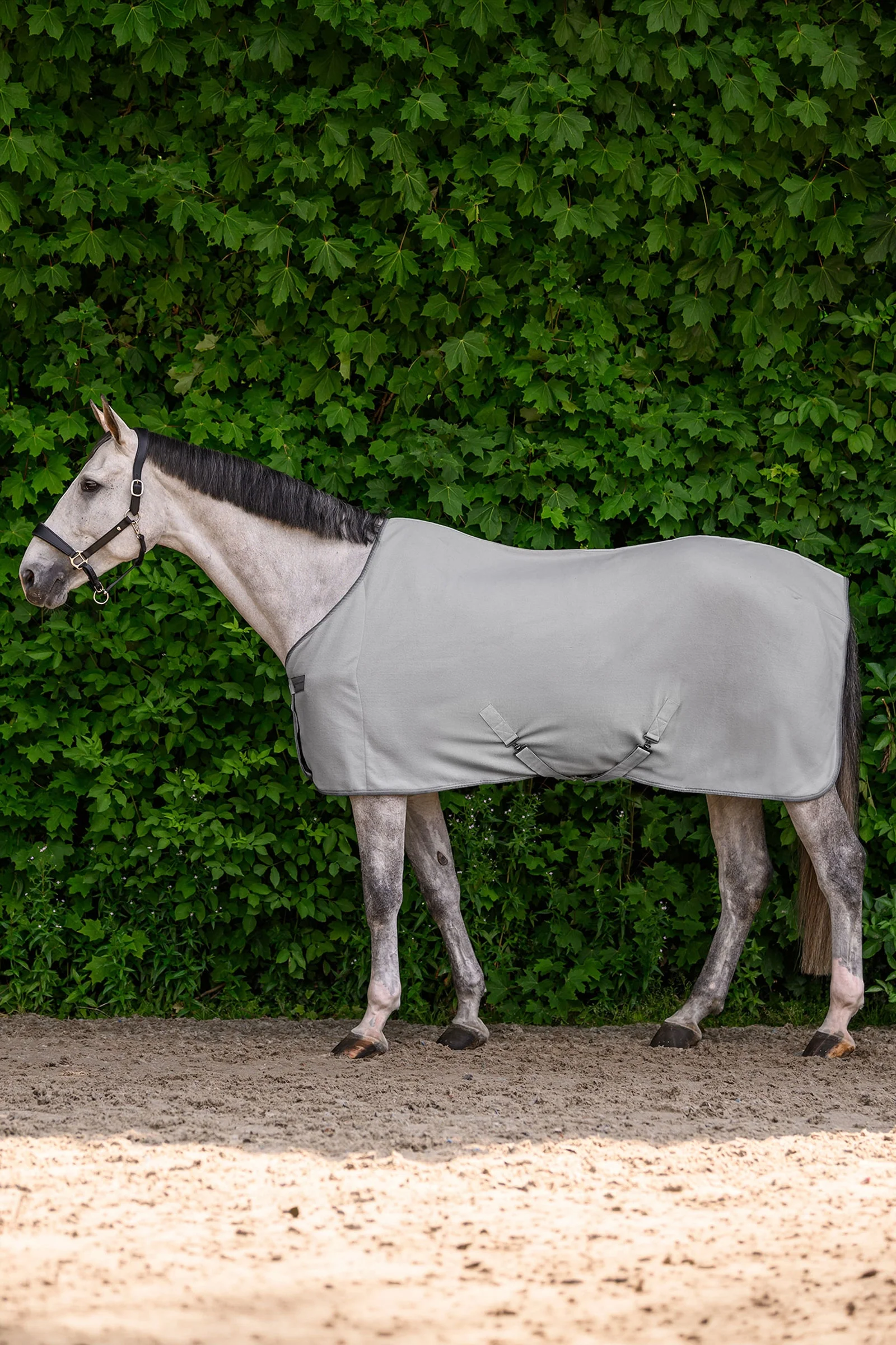 ECONOMIC derka polarowa z pasami krzyżowymi Silver Grey 145