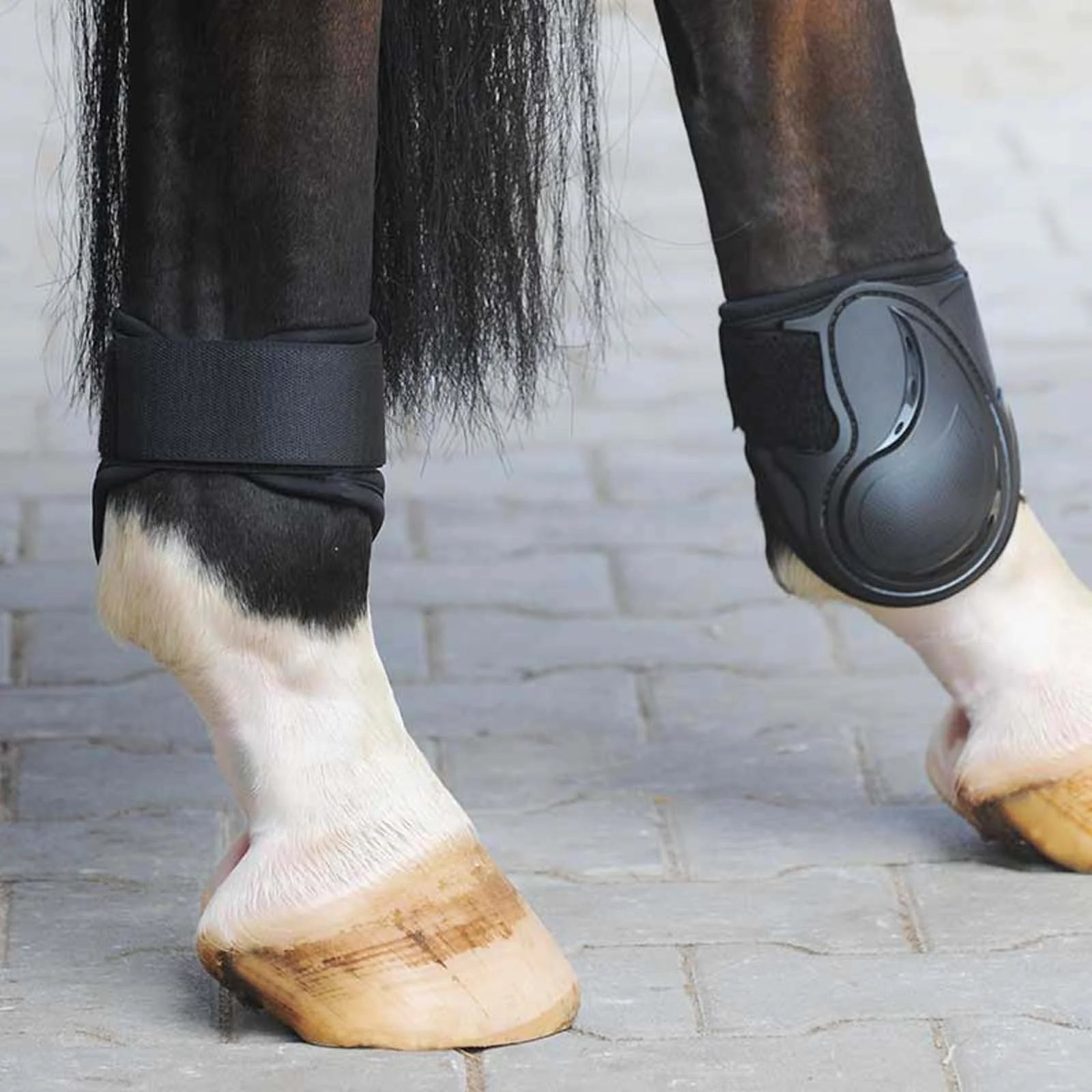 Rywalizacja w butach Fetlock M