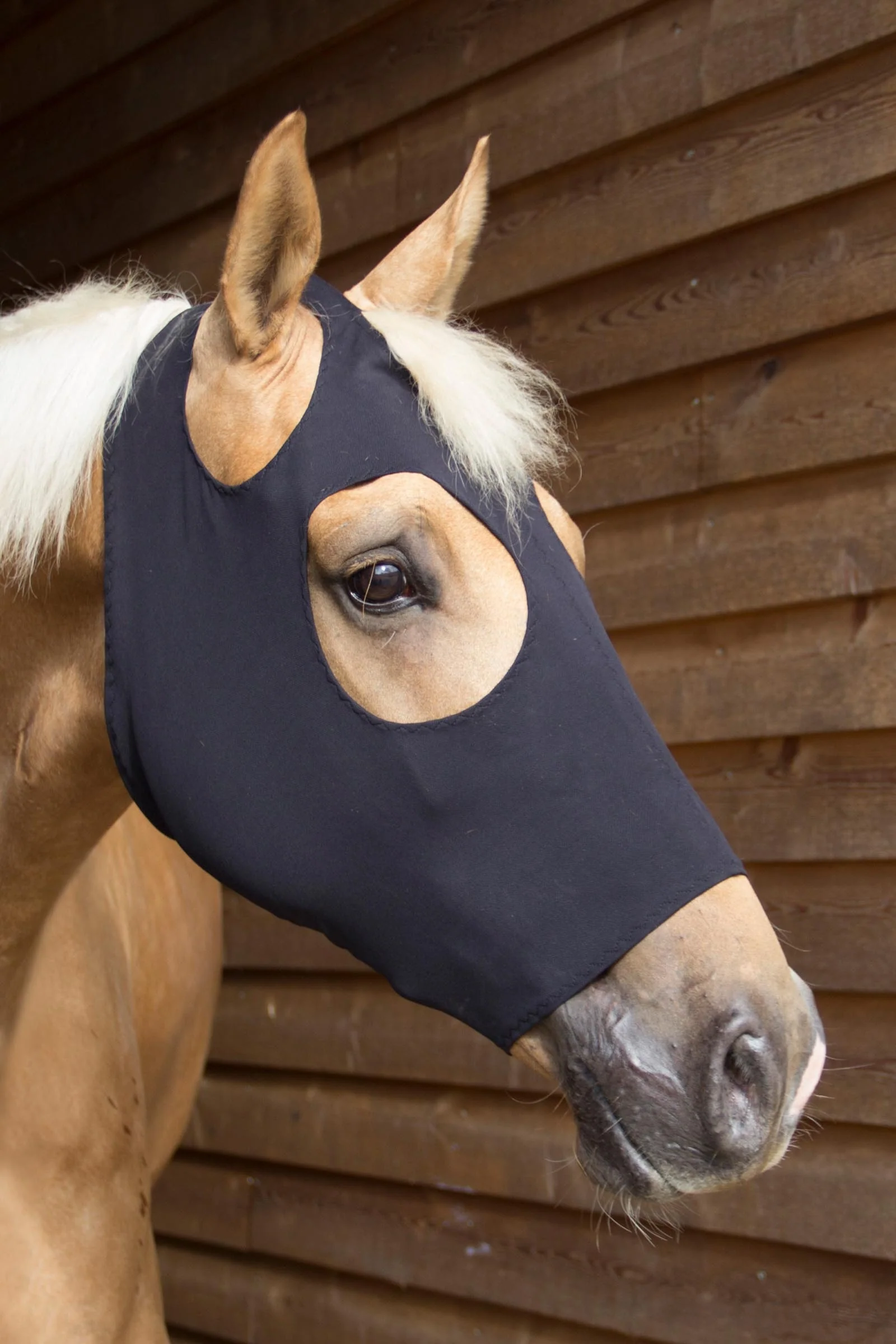FIR-Tech Hood Black P