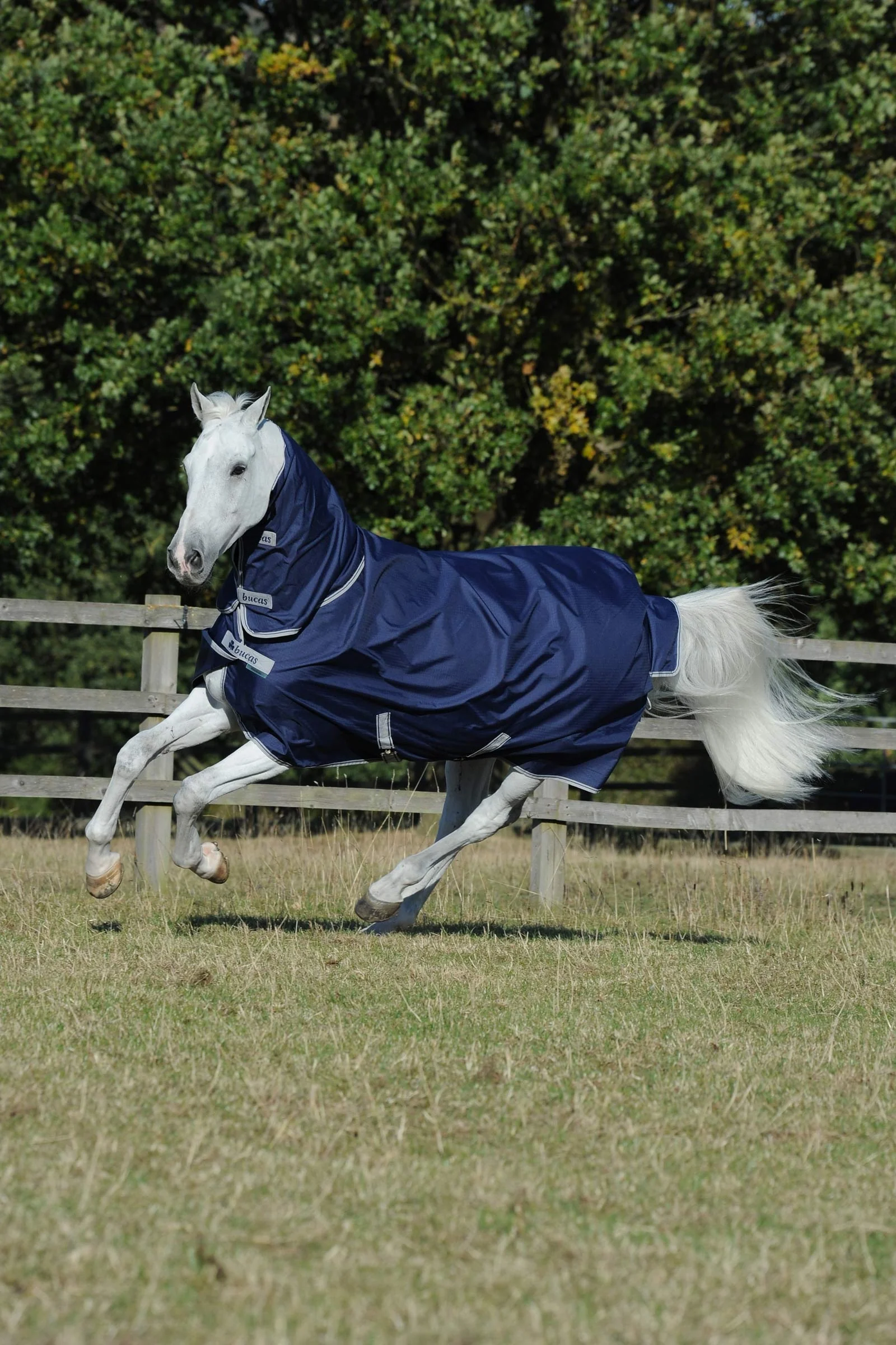 Freedom lekka derka padokowa z przymocowanym pełnym szyjnikiem, 0g Dark Blue 120
