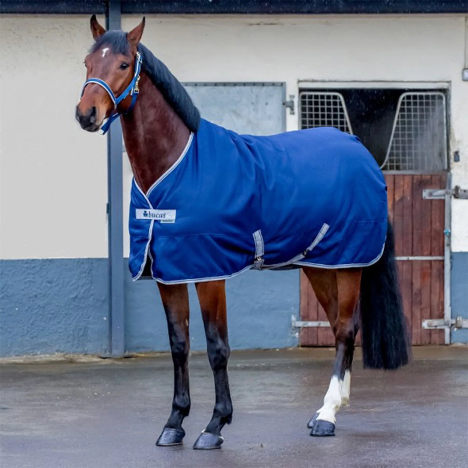 Stajnia Wolności 150 Dark Blue 140