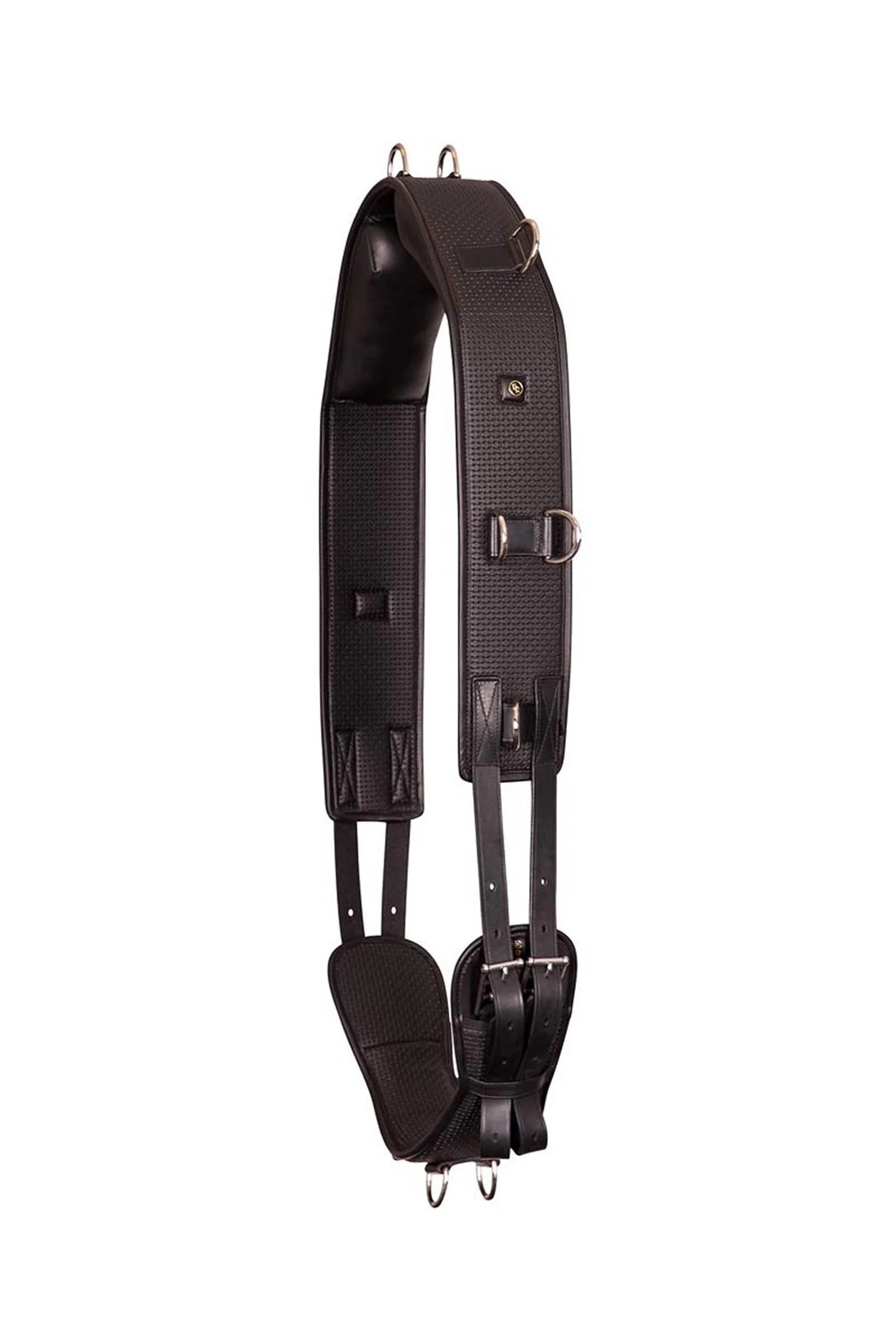 Gentle pas do lonżowania Black P
