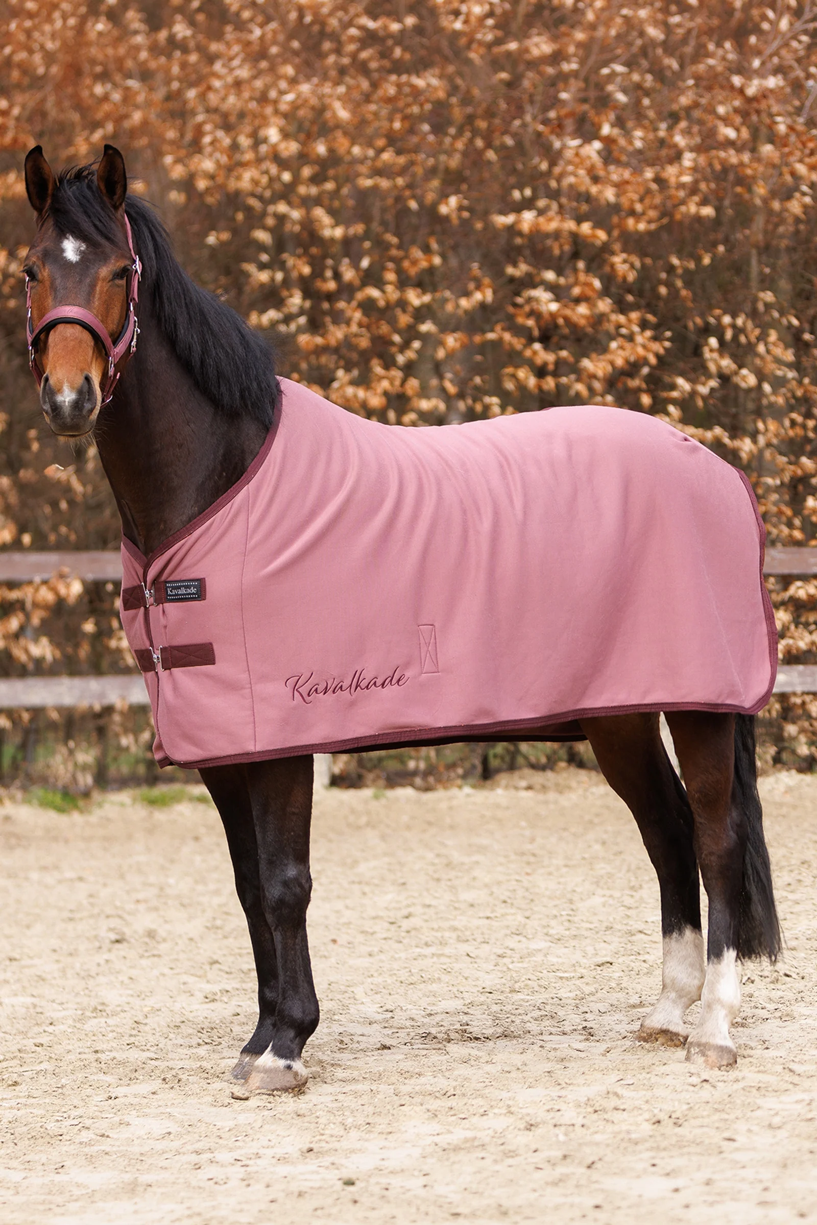 Graceful derka jersey Mauve/Bordeaux 155