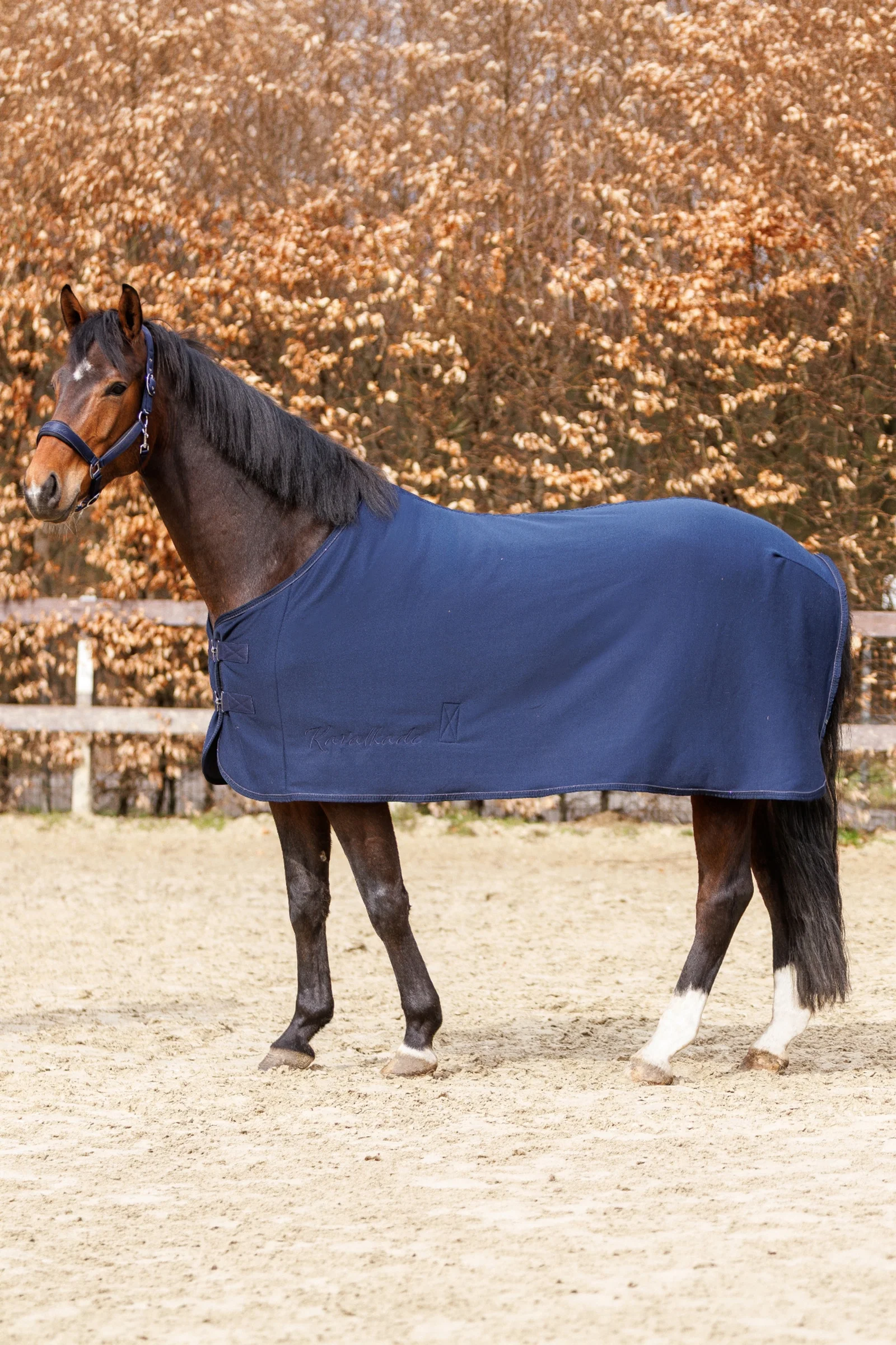 Graceful derka jersey Navy/Navy 145