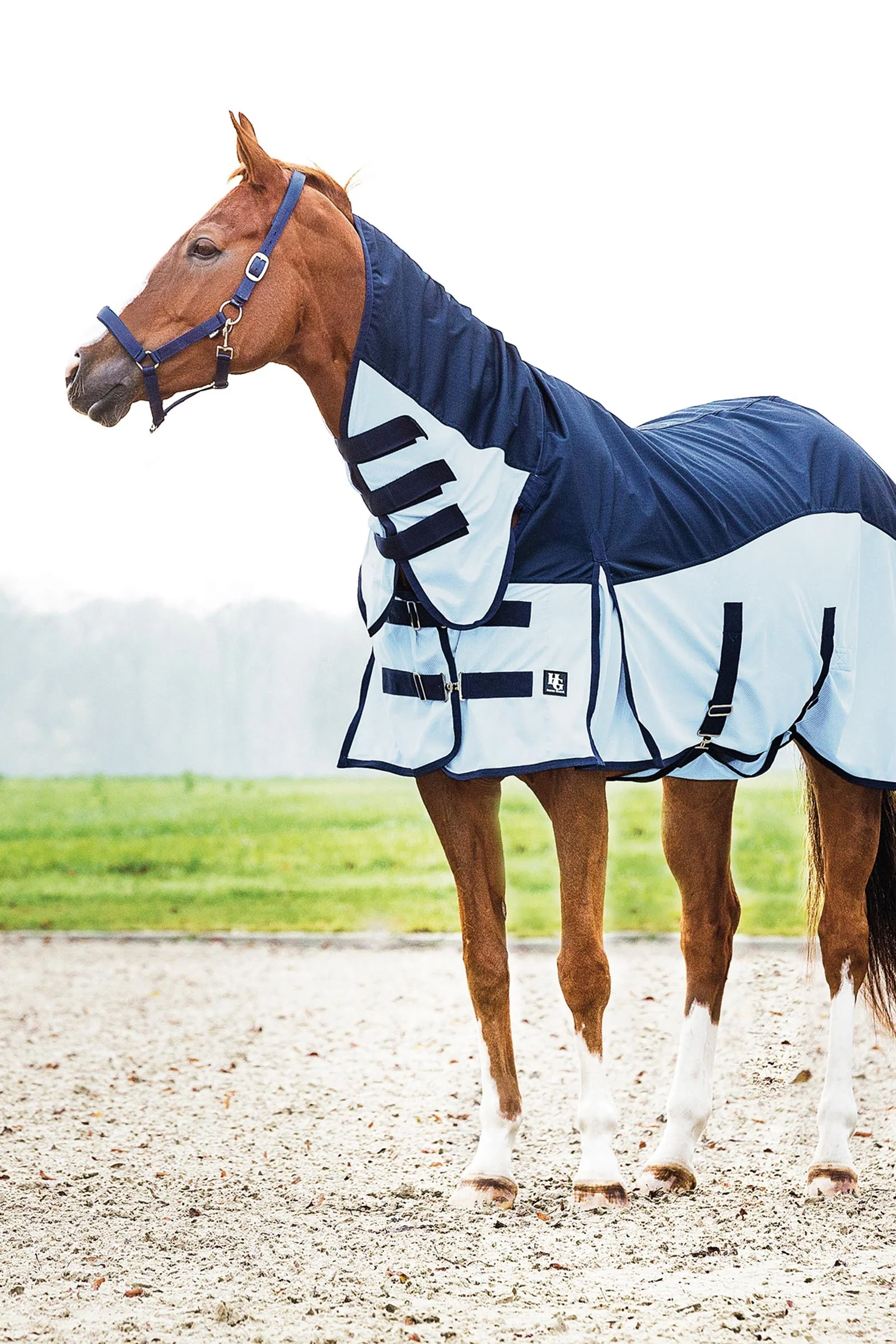 HorseGuard Aiman Rain & Insect Rug Placid Blue 135