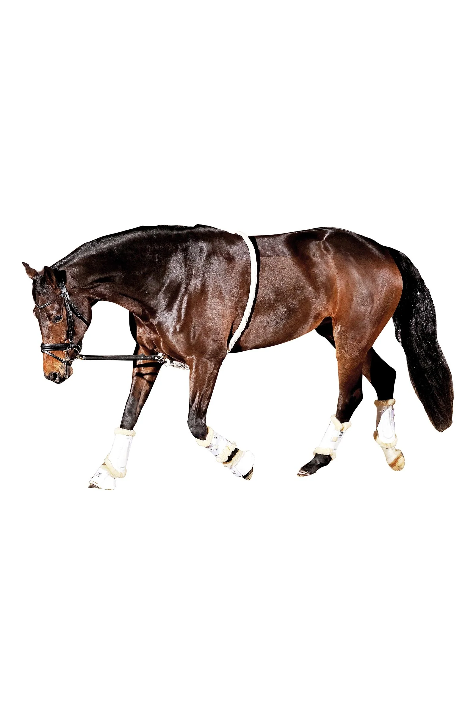 HorseGuard Soft Lunging Aid White C