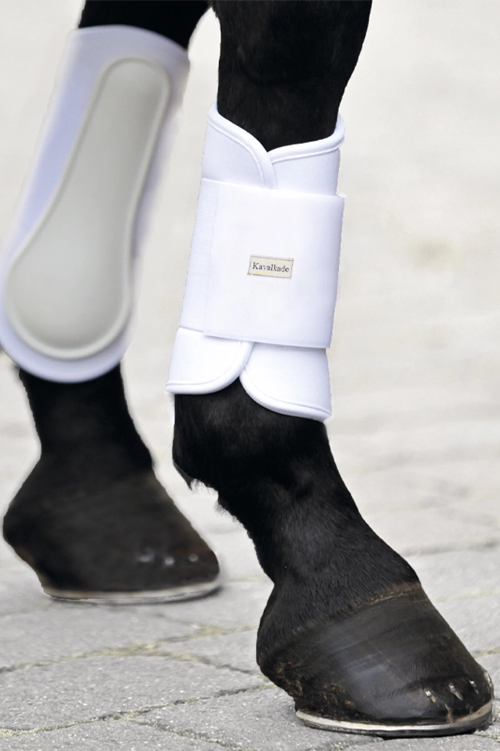 Miękkie buty do szczotkowania KavalPren, przód WH/AB S
