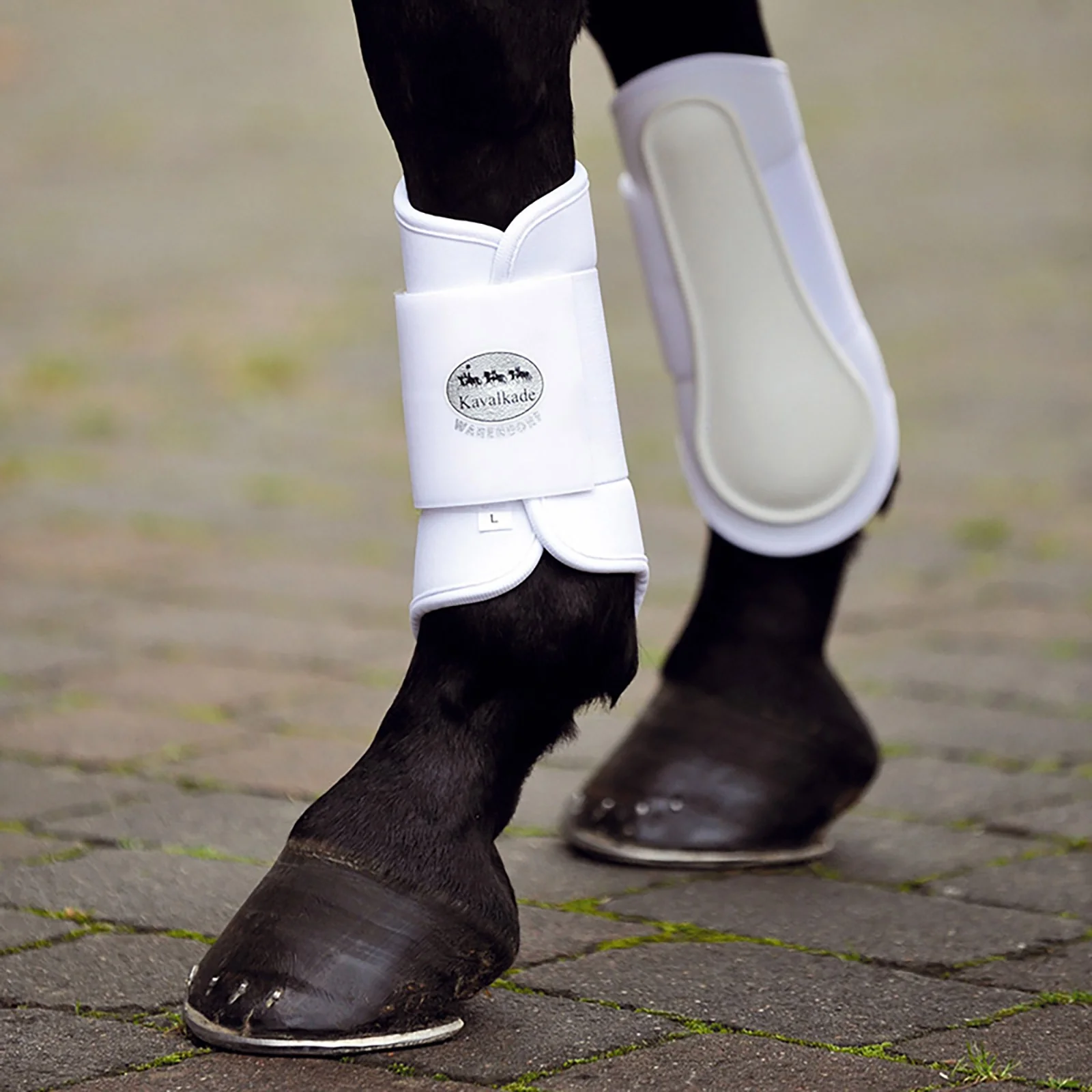 Miękkie buty do szczotkowania KavalPren, tył WH/AB S