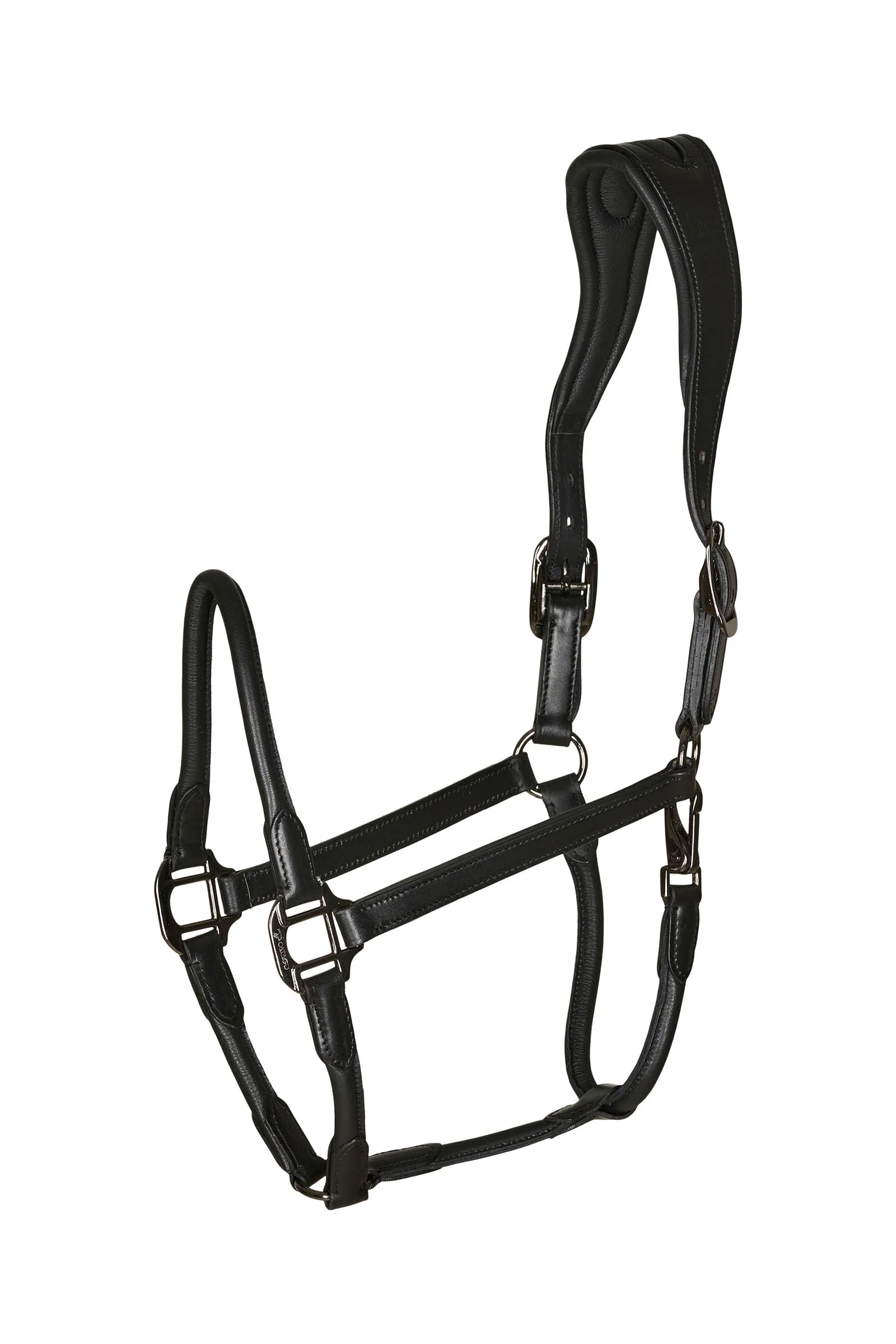 leather halter with round-stitched noseband Black X-Full