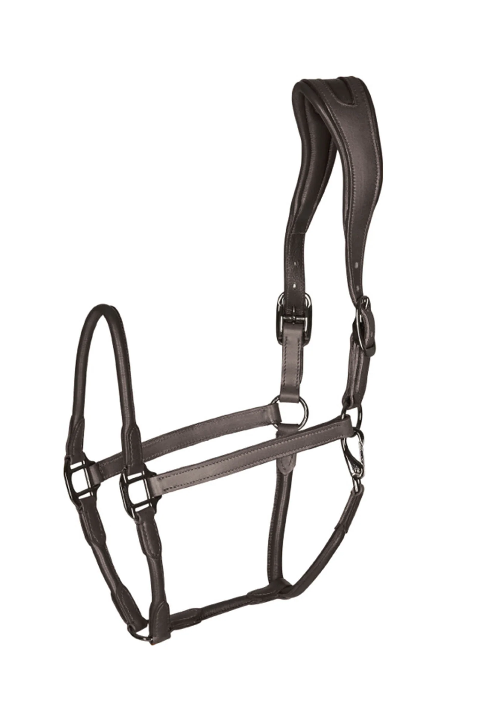 leather halter with round-stitched noseband Brown P