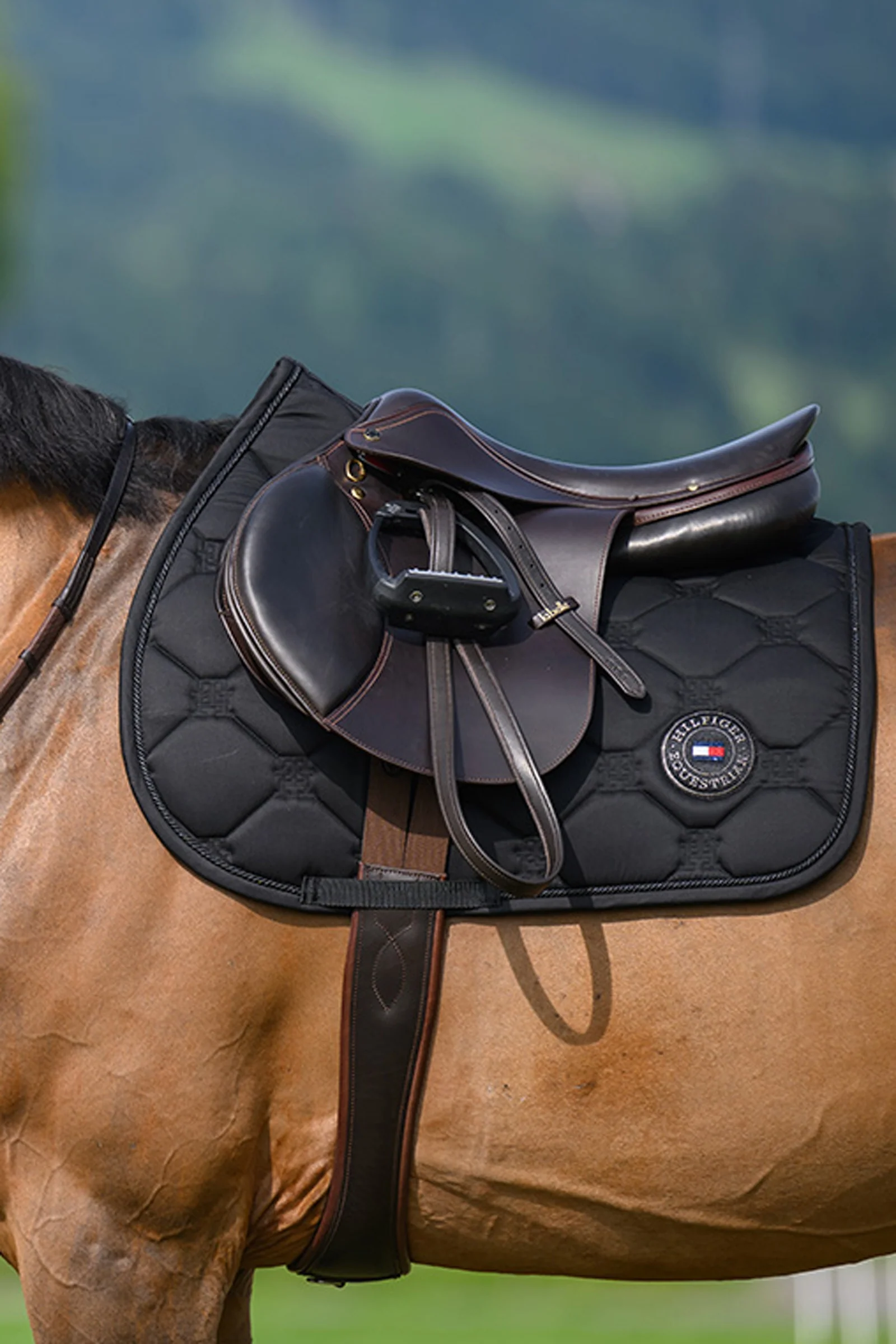 Liberty czaprak skokowy Black F