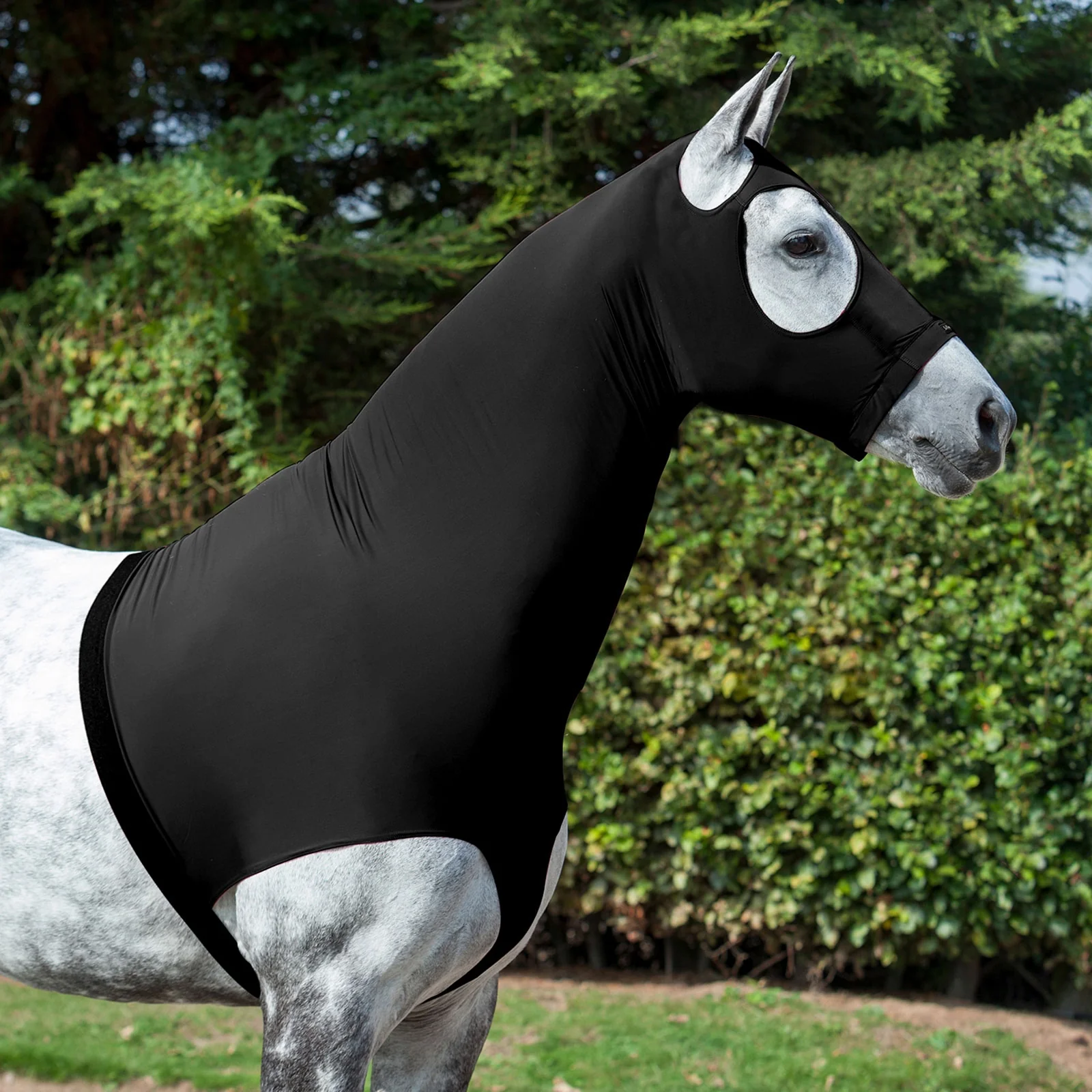 Kaptur z lycry LeMieux Black 00X