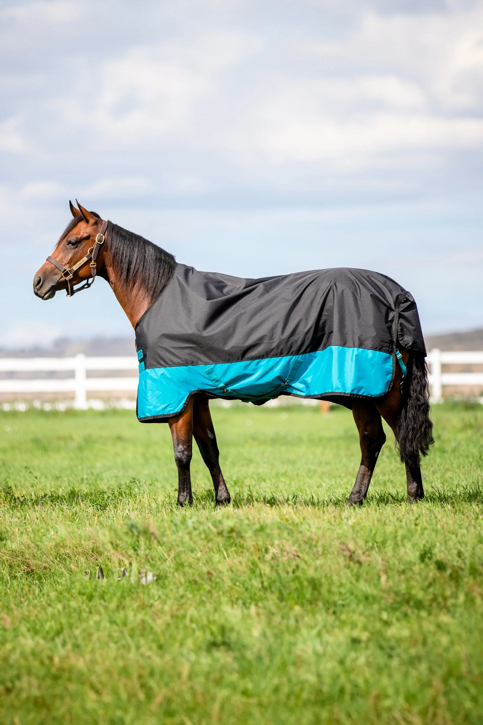 Mio derka padokowa, 200 g Black/Turquoise Blue 75