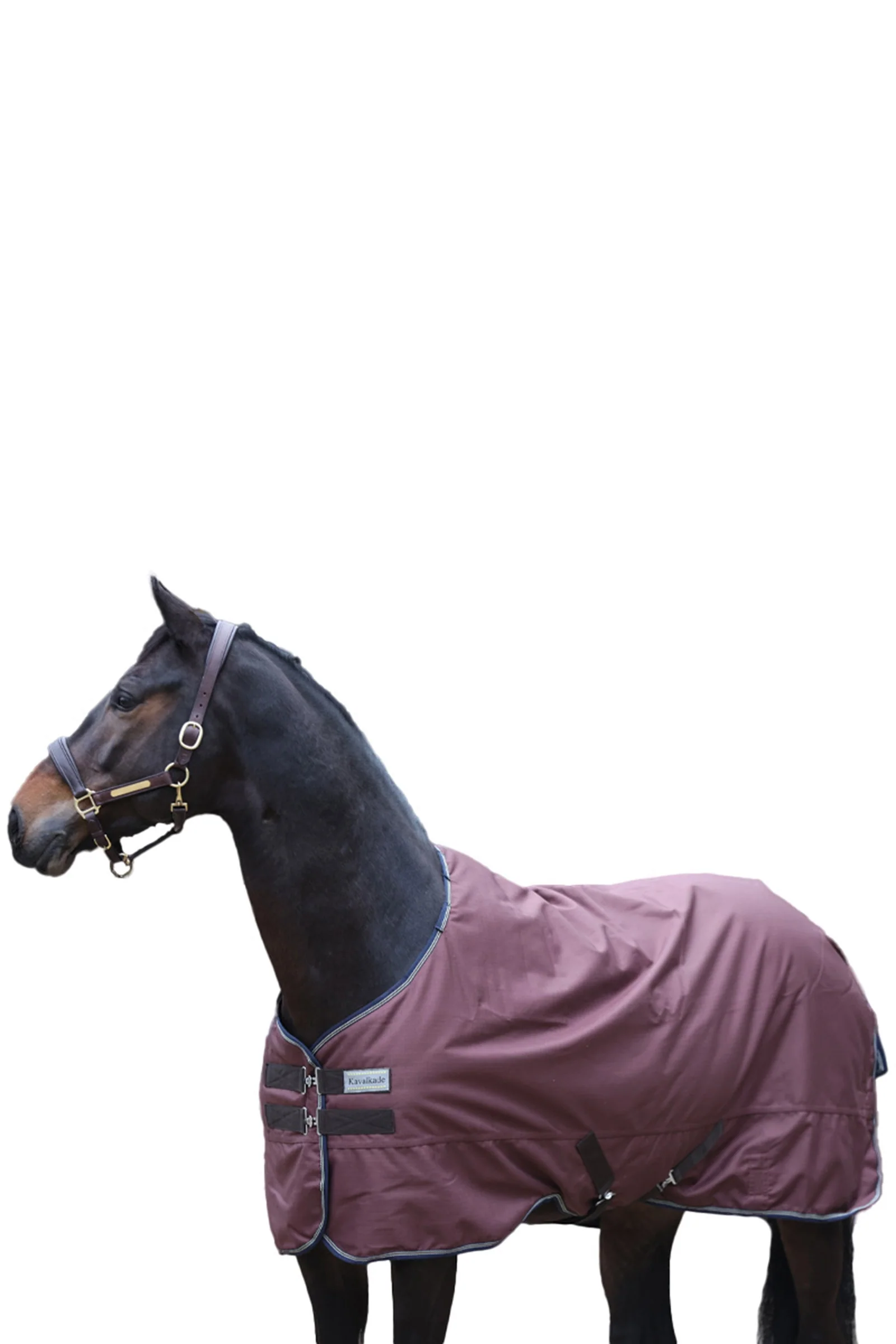Derka Montreal, 100g Brown 145