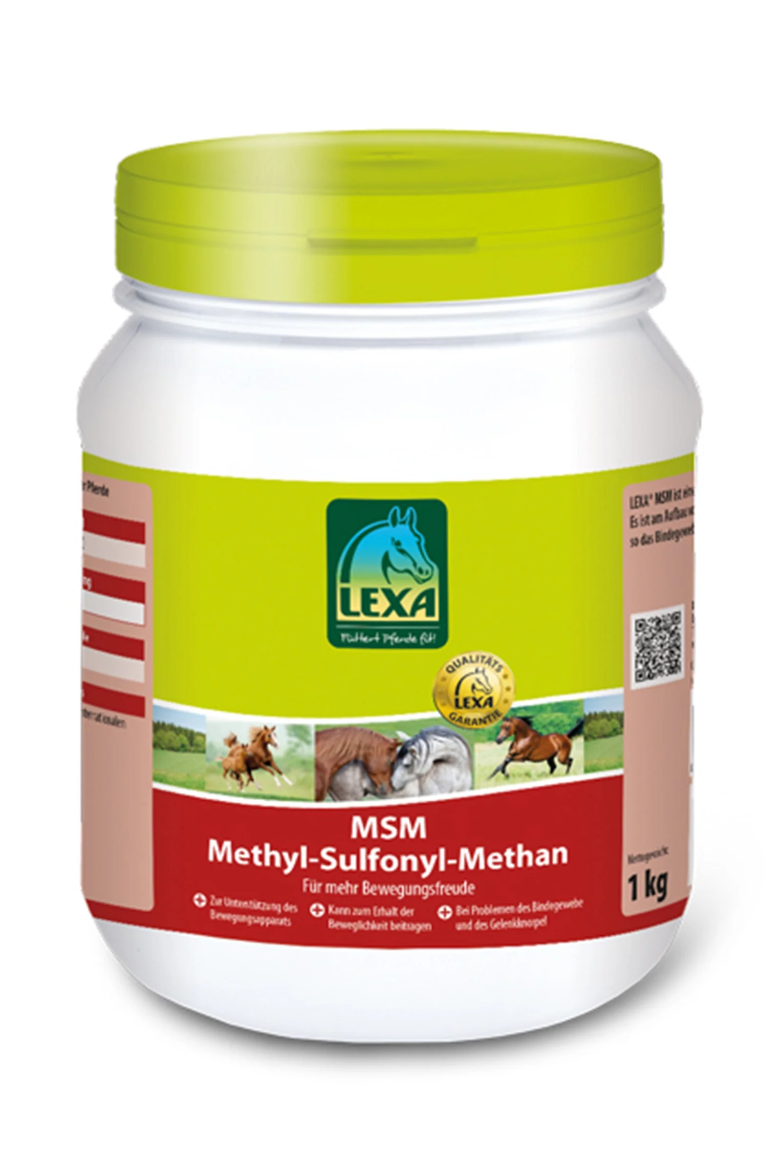 MSM 1kg White 1