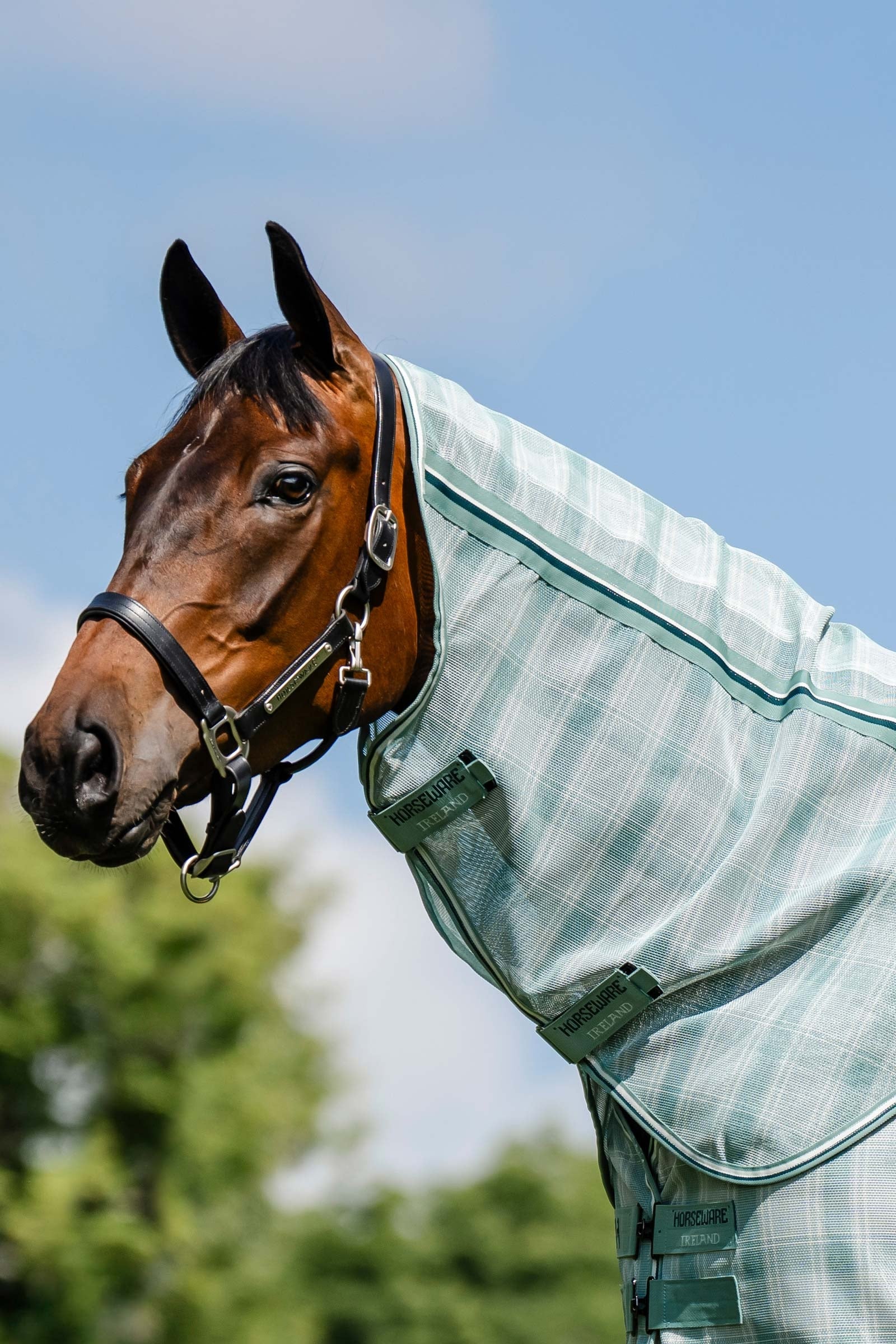 Newmarket kaptur do derki przeciw owadom z ochroną UV Witney Dynasty M