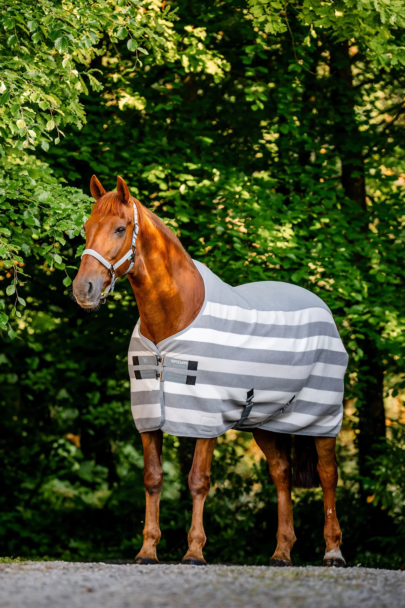 Newmarket Fleece Derka osuszająca Witney Charcoal 155