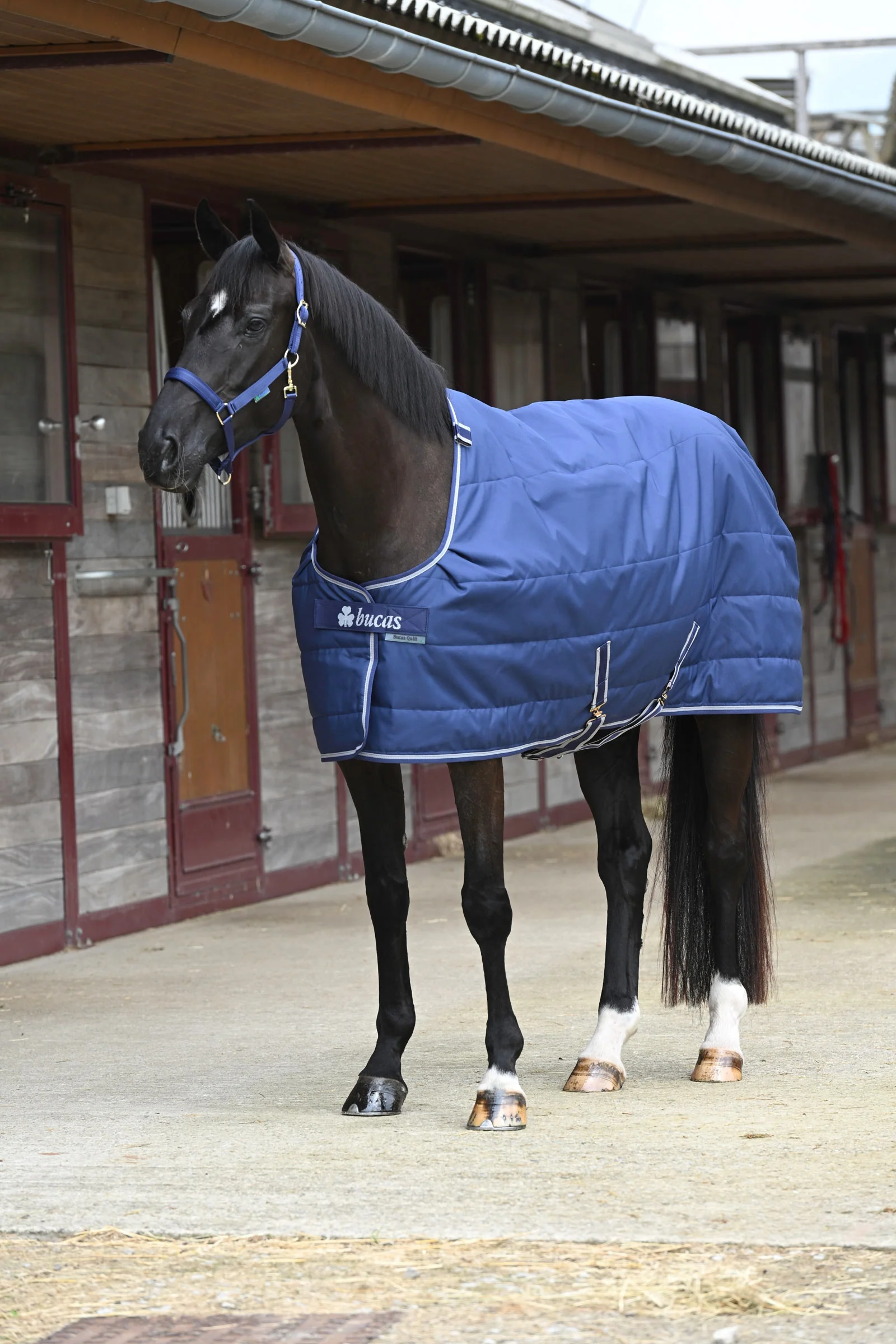 Kołdra Stay-dry, 150g Dark Blue 165
