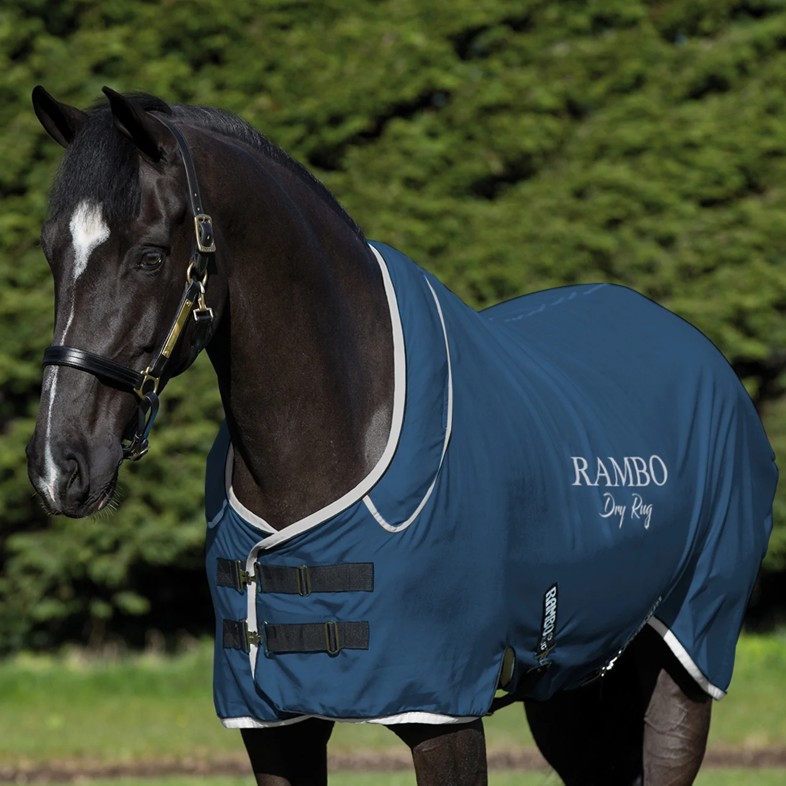 Derka osuszająca Rambo Dark Blue/Silver L