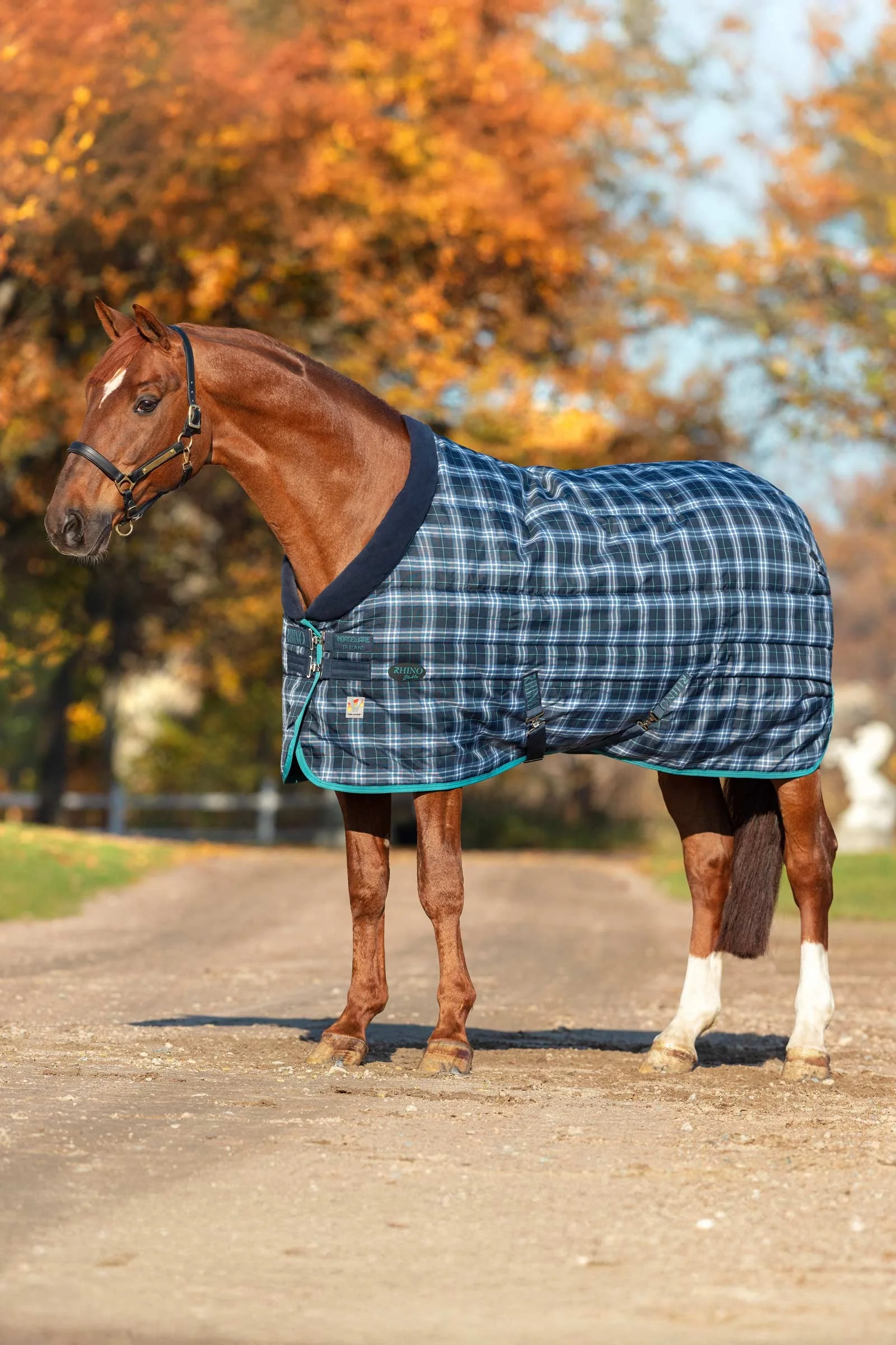 Gruba derka stajenna Rhino Original - VL Navy Check/Teal 130