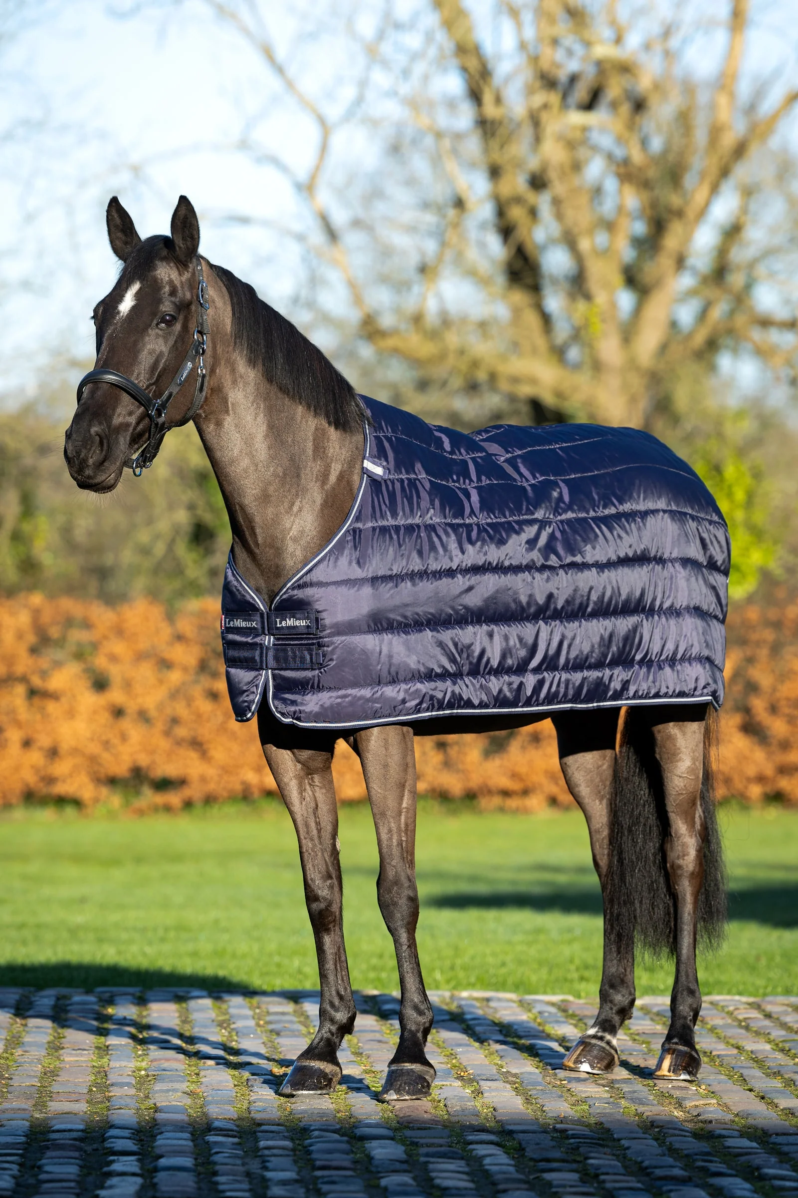 podpinka do derki, 100 g Navy 110